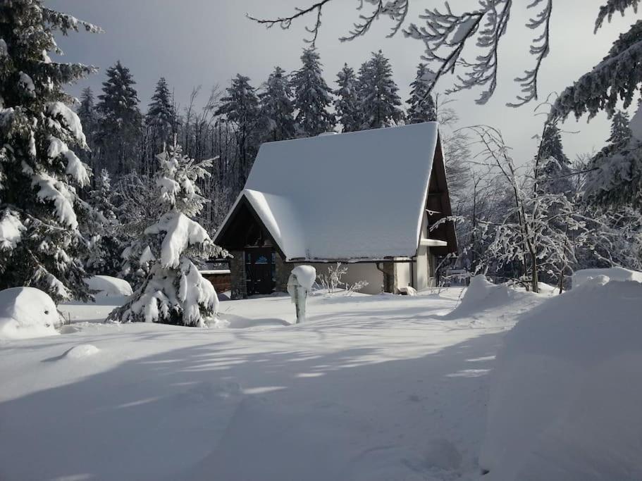 Sanjska Hiša Vojsko view 2