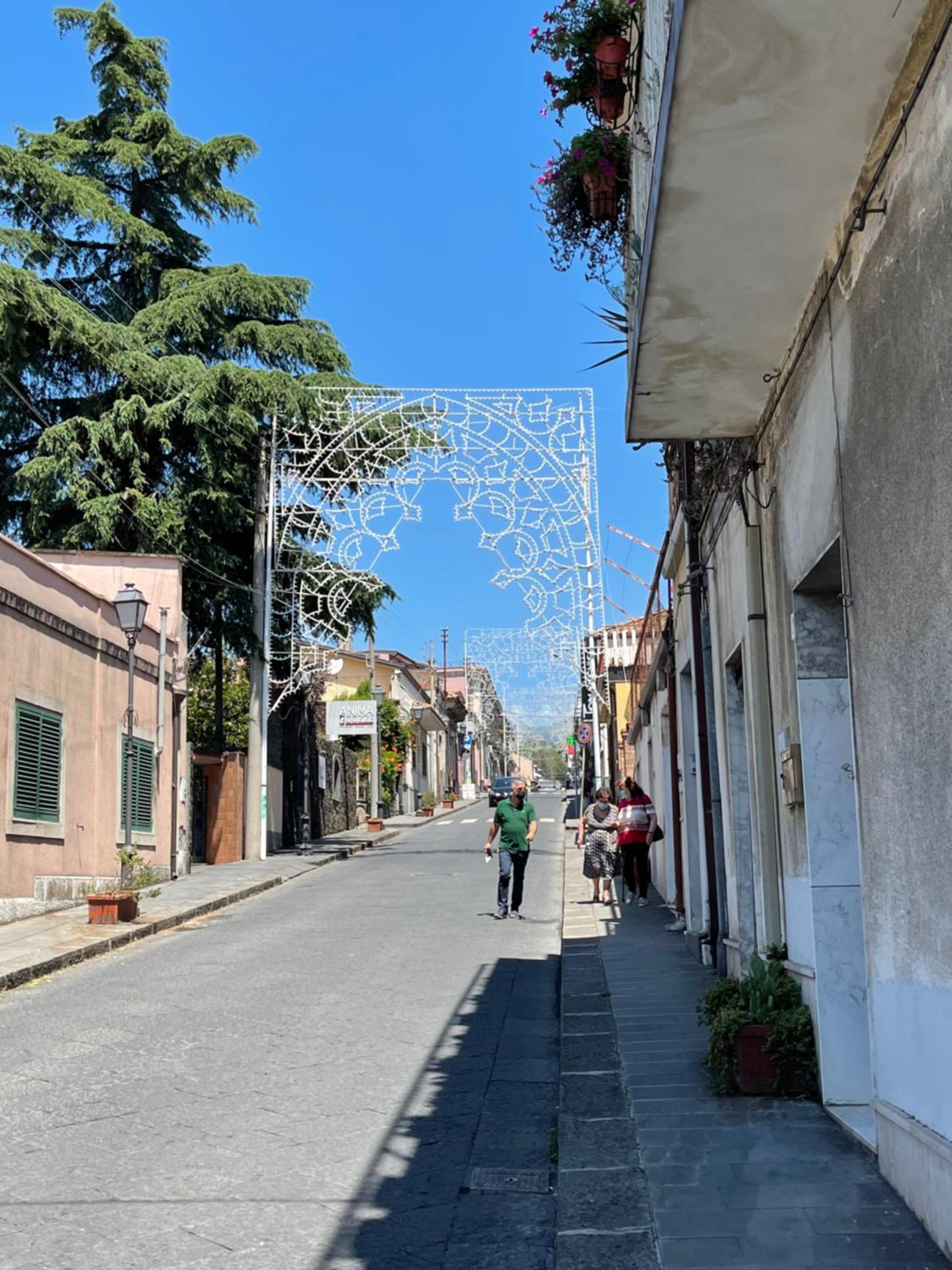 Photo 66