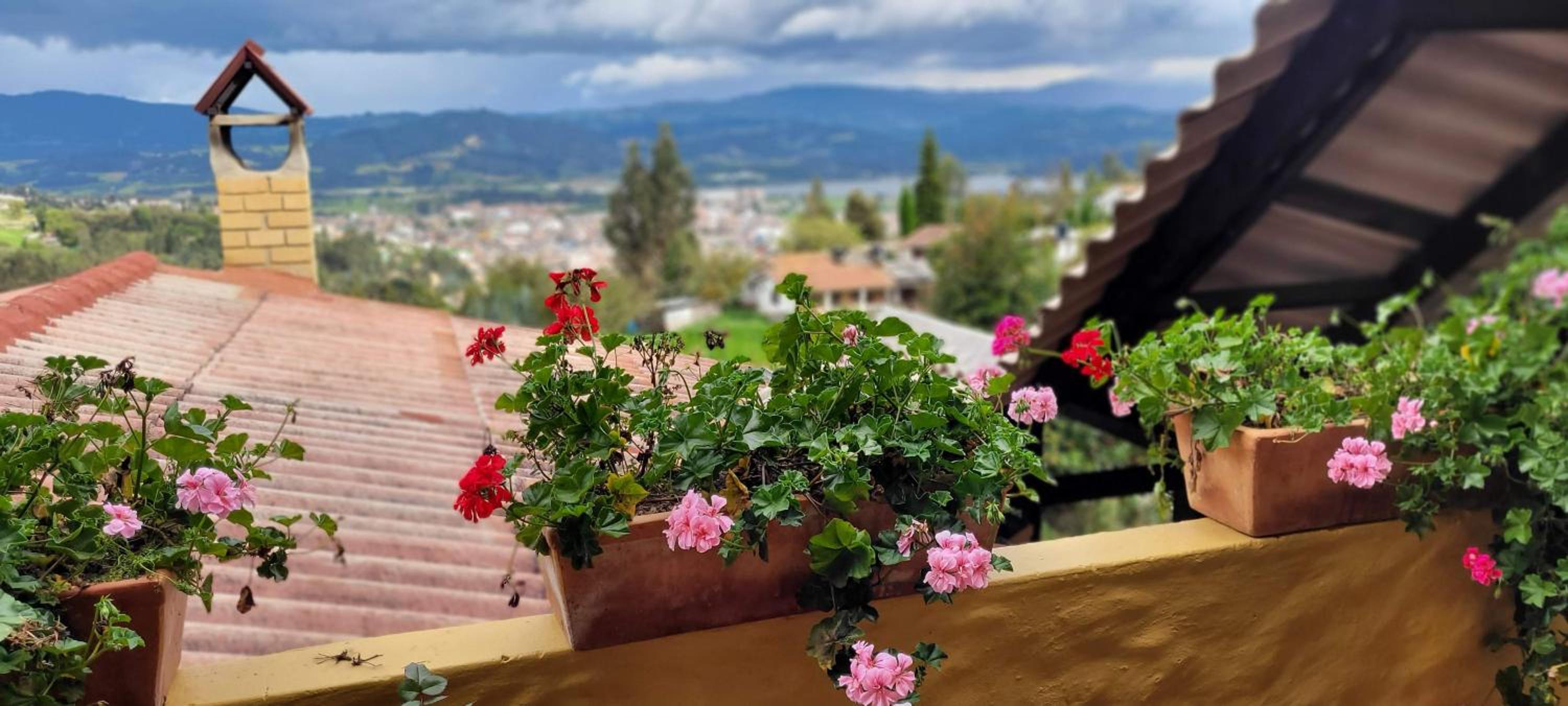La Rosaleda - Hermosa finca, vista al lago, bosque privado y BBQ