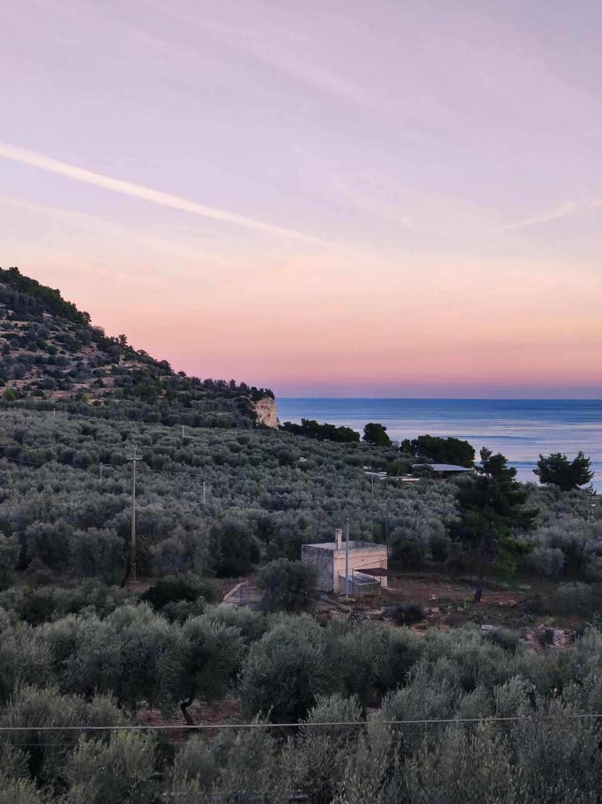 Dimora Mediterranea view 4