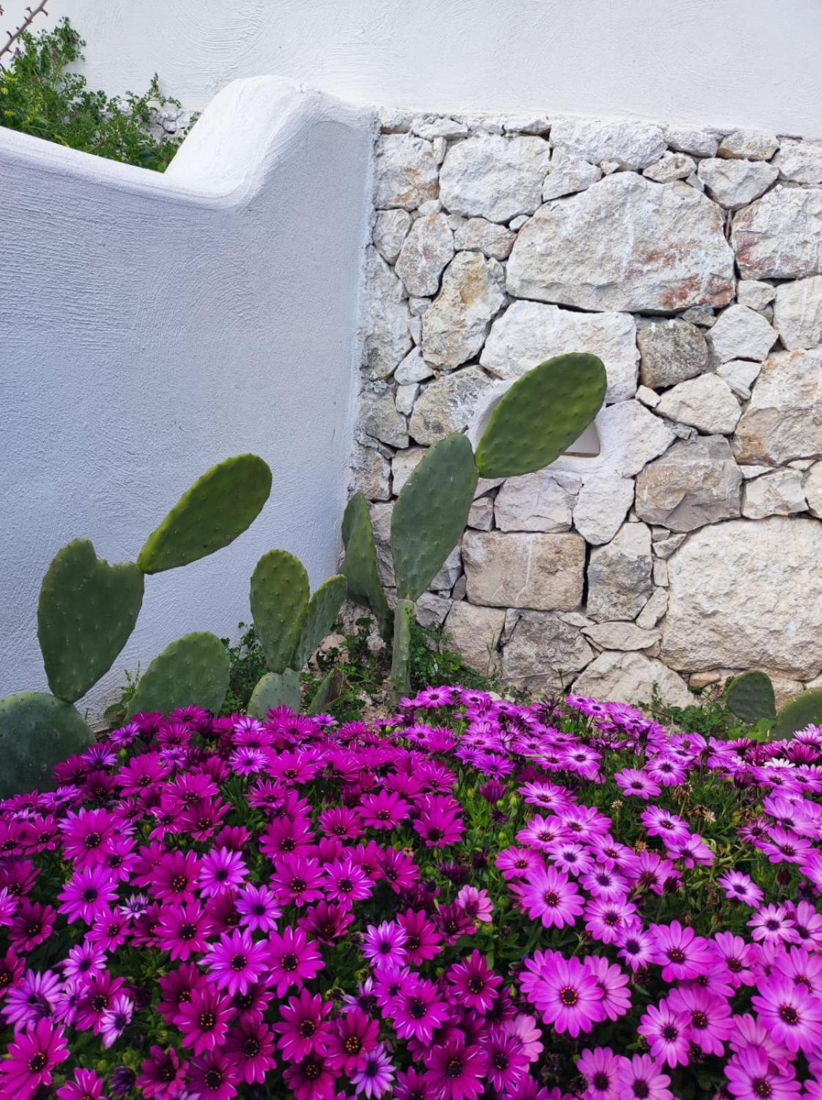 Dimora Mediterranea view 5