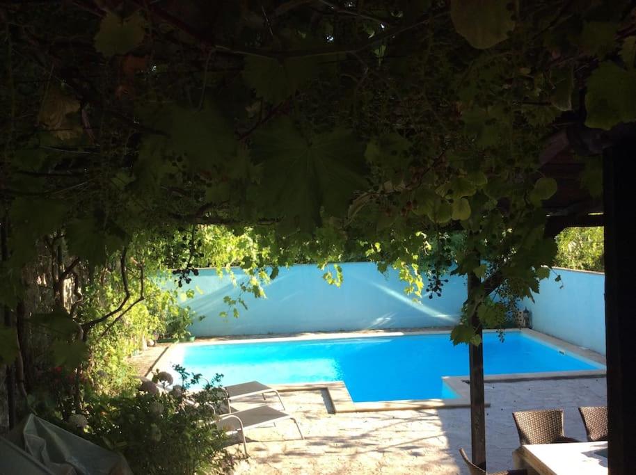 Lovely house with swimming pool