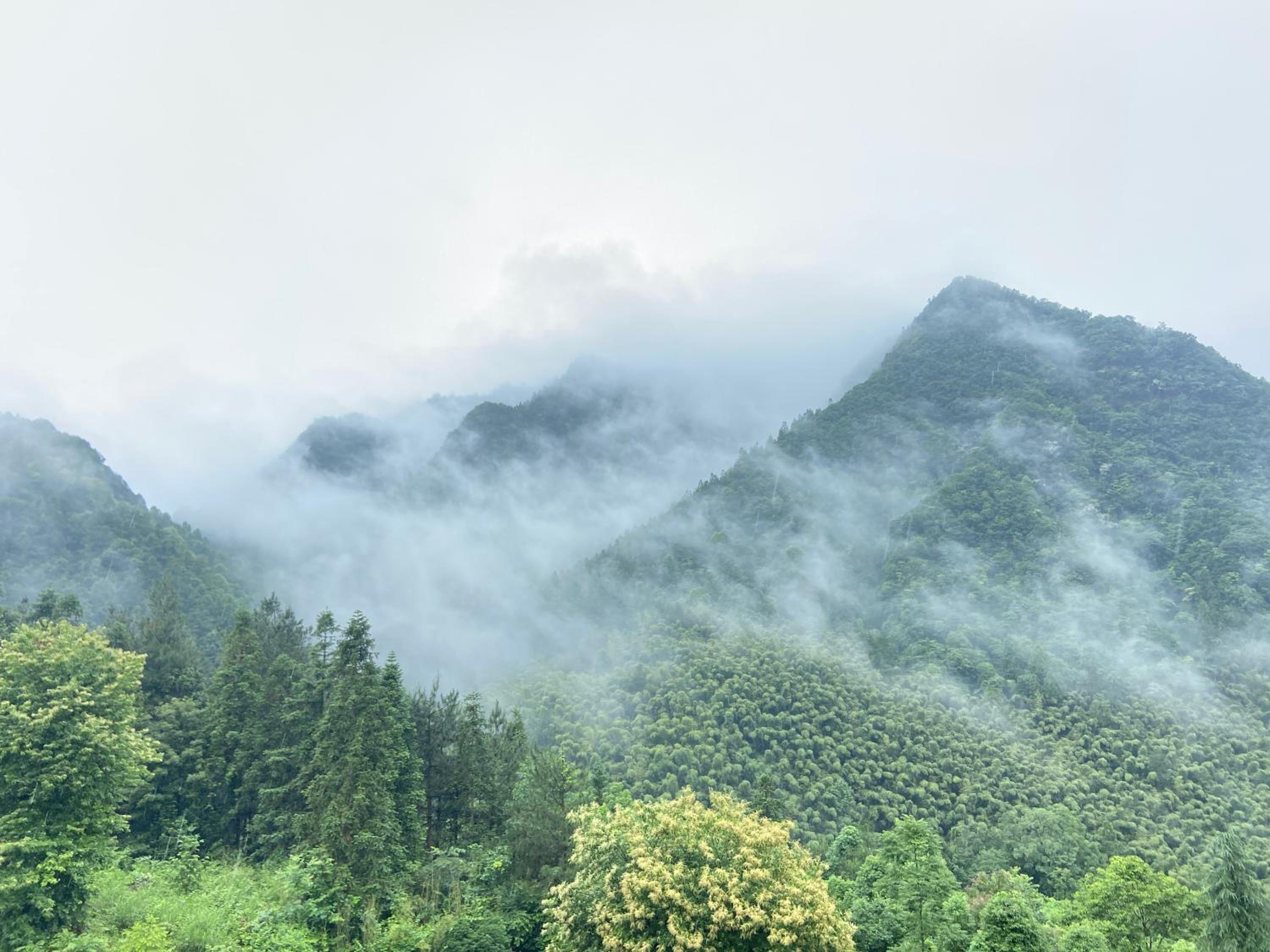 Zhangjiajie National Park Nvue Resorts