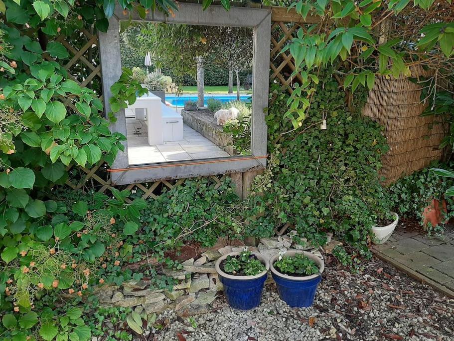Gastehuis Madiba met privé zwembad en jacuzzi