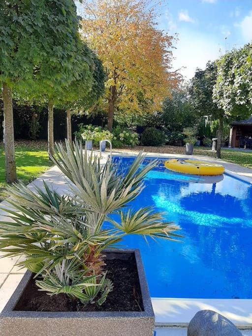 Gastehuis Madiba met privé zwembad en jacuzzi
