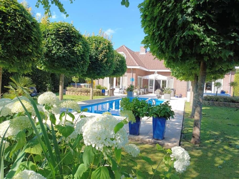 Gastehuis Madiba met privé zwembad en jacuzzi