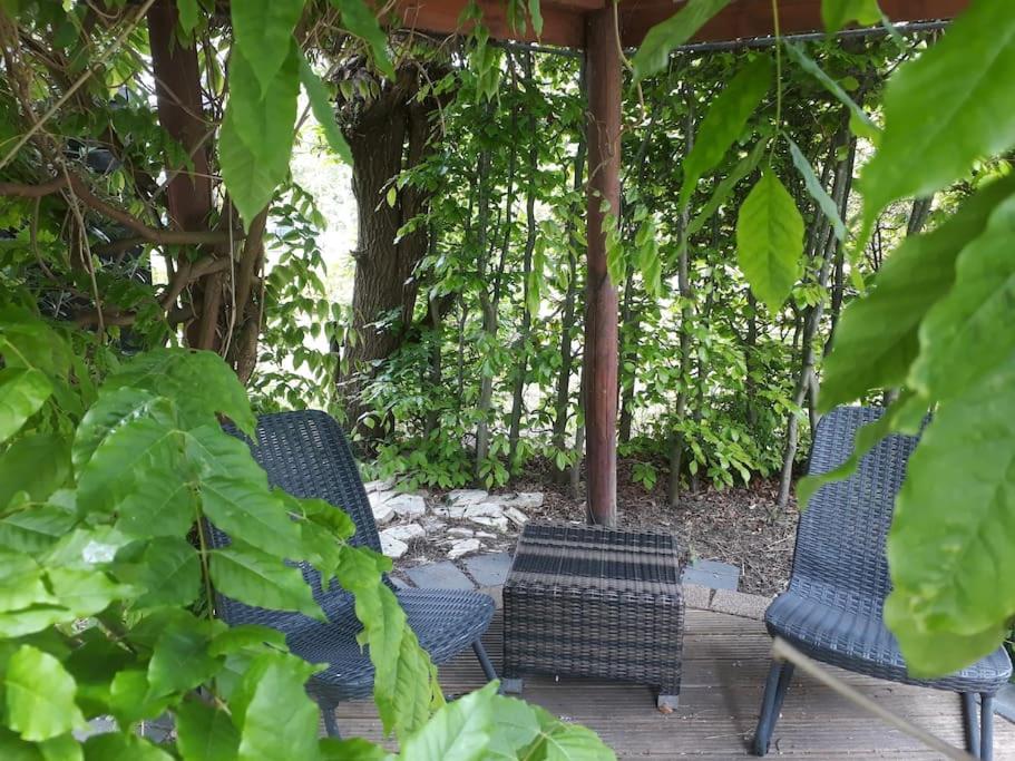 Gastehuis Madiba met privé zwembad en jacuzzi
