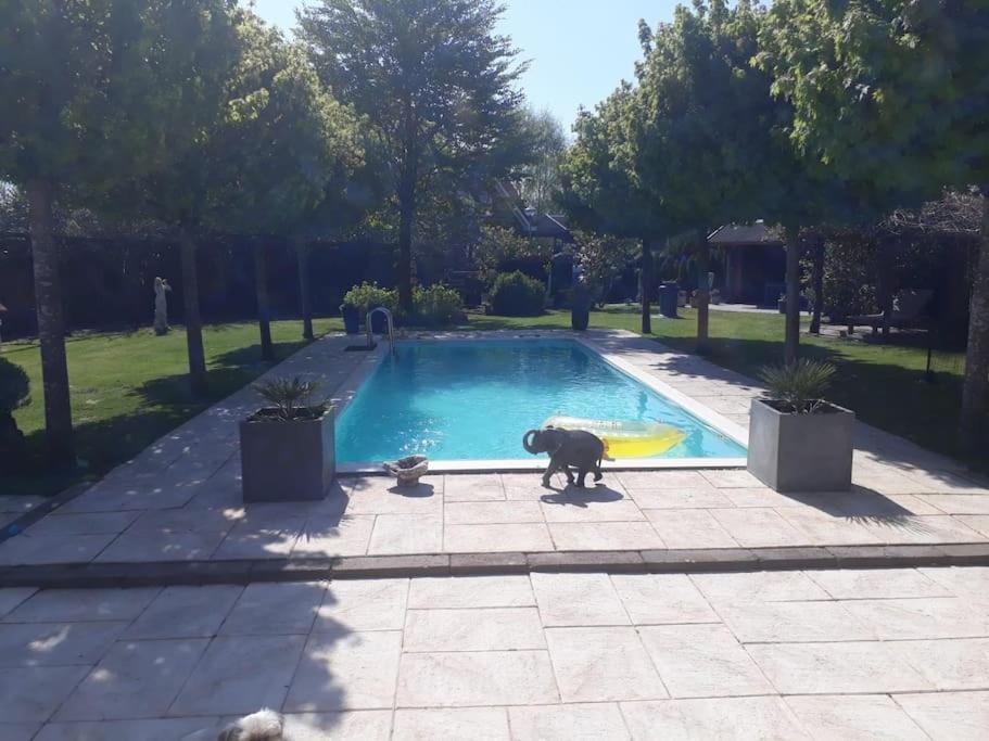 Gastehuis Madiba met privé zwembad en jacuzzi