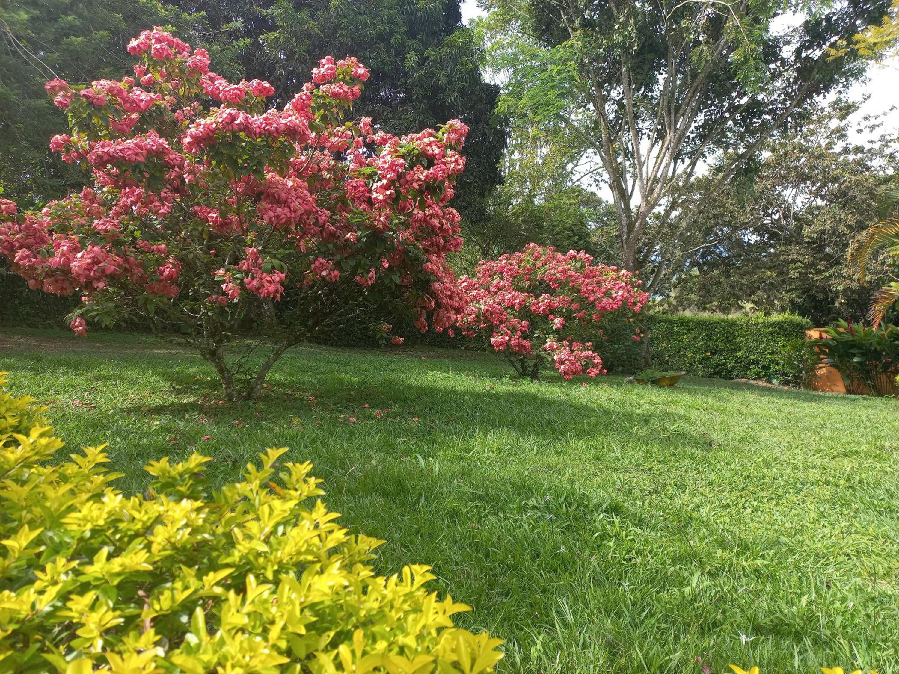 Finca las brisas
