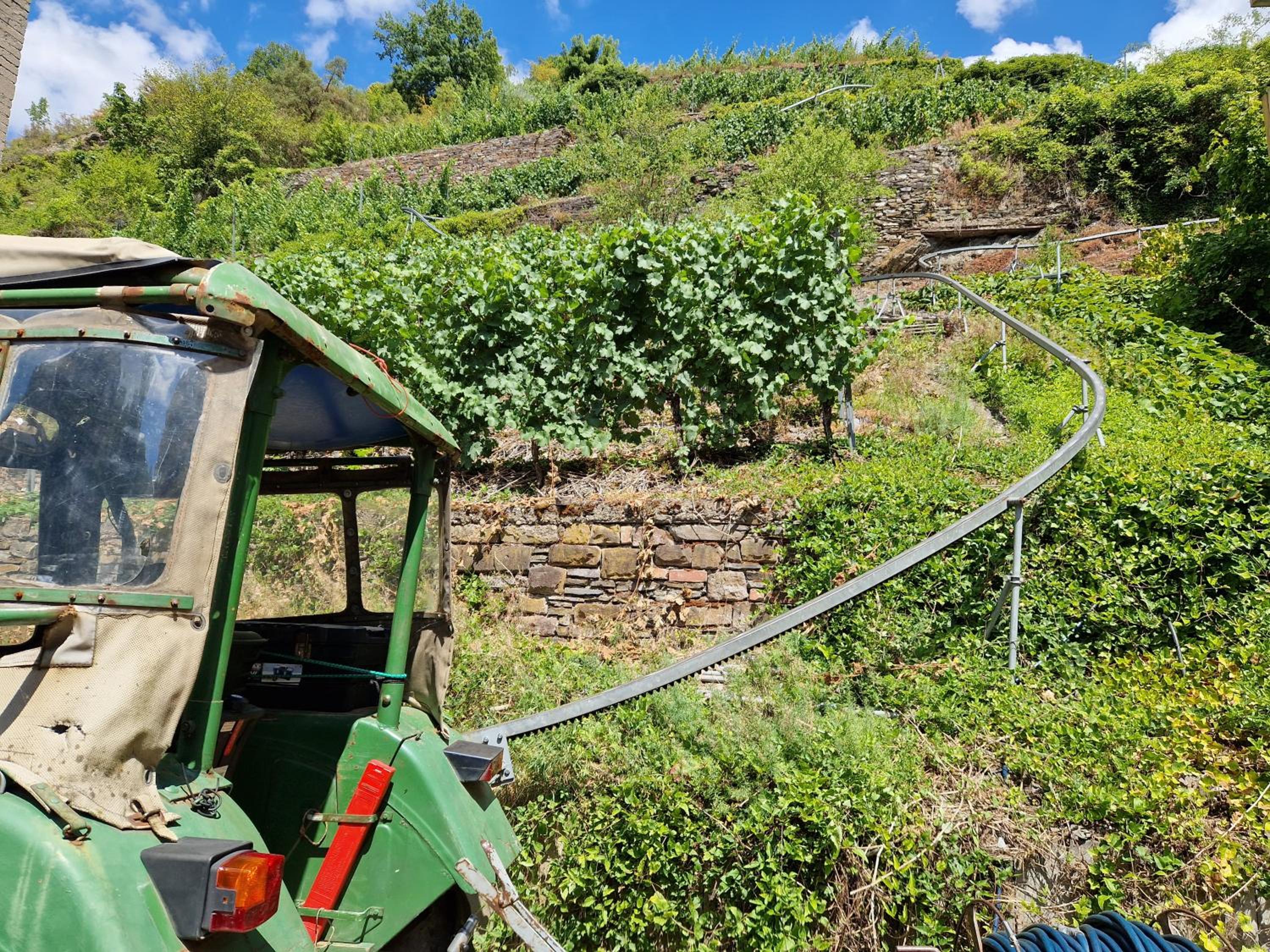 Weingut Haxel