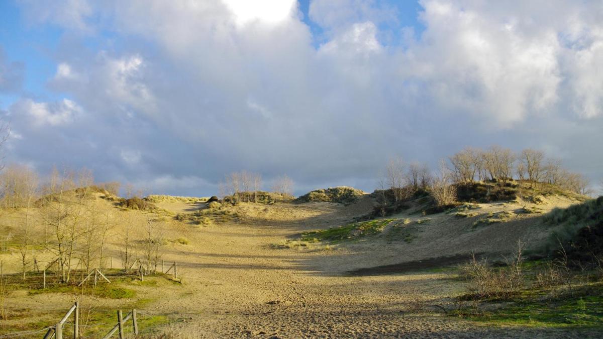 Vakantiewoning Zandhof