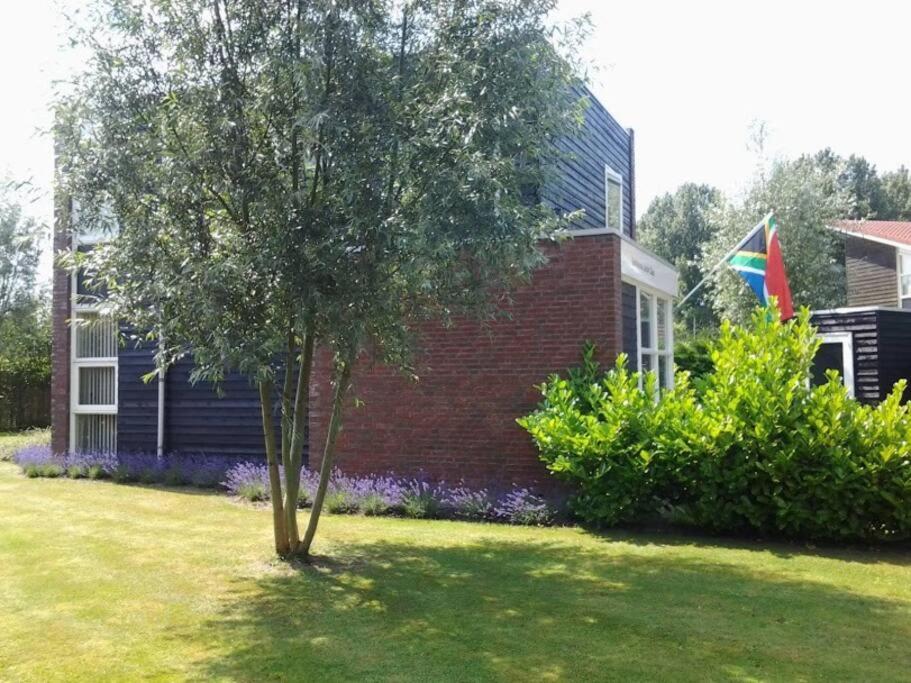 Photo 25