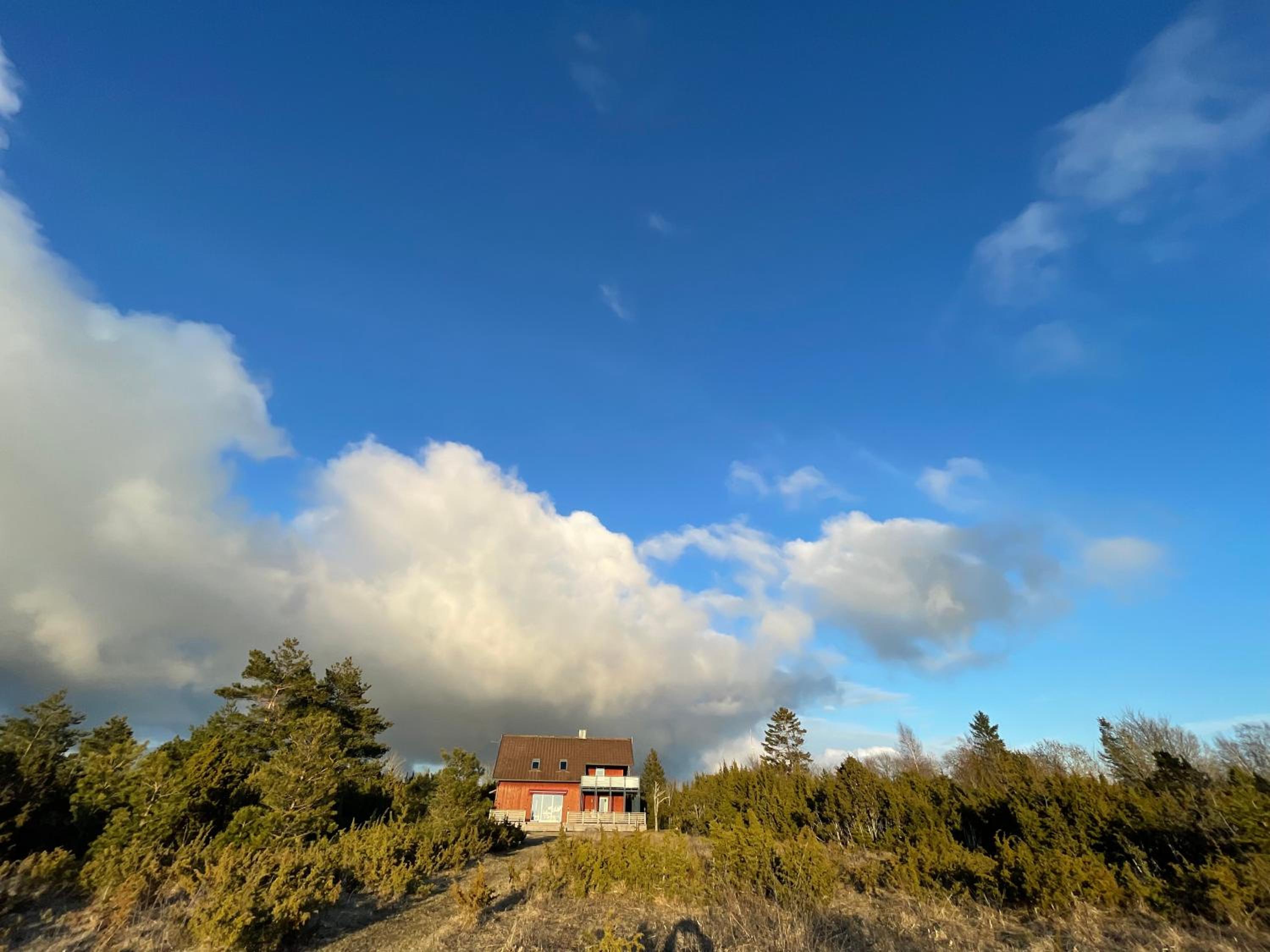 Kivika