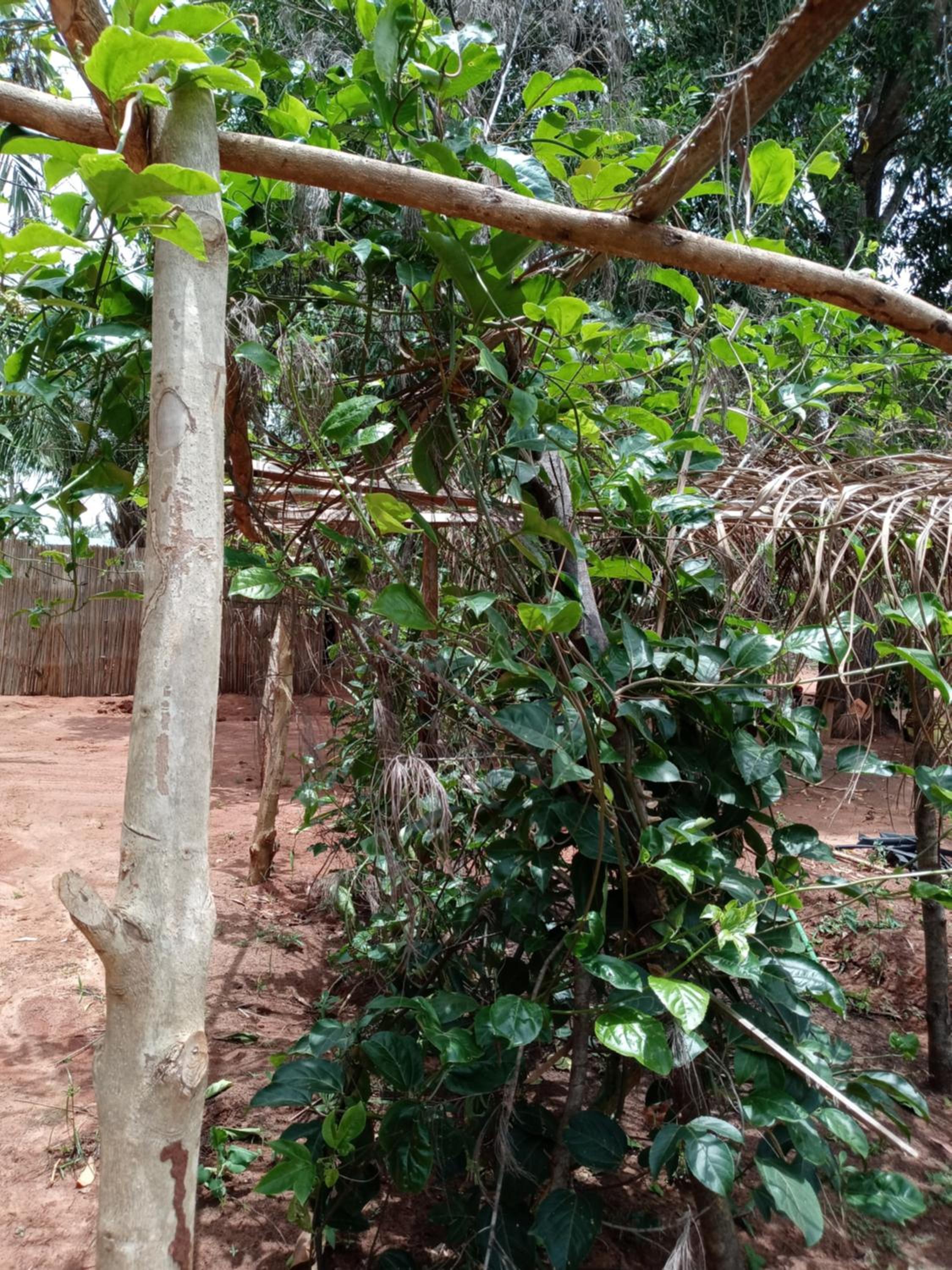 Glamping Lakeview Ouidah