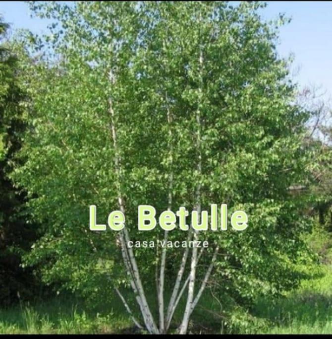 Le Betulle