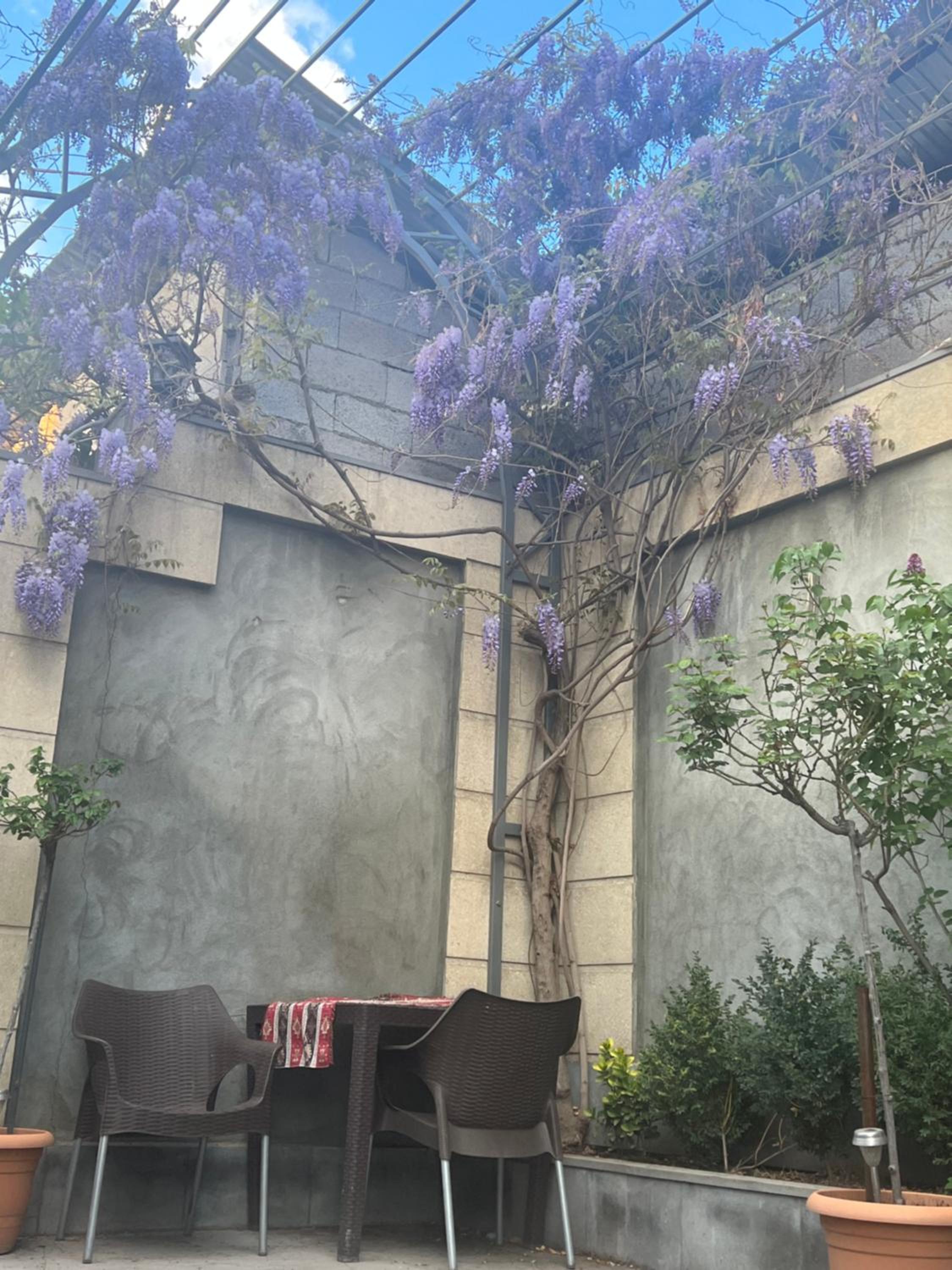 Yerevan Guest House