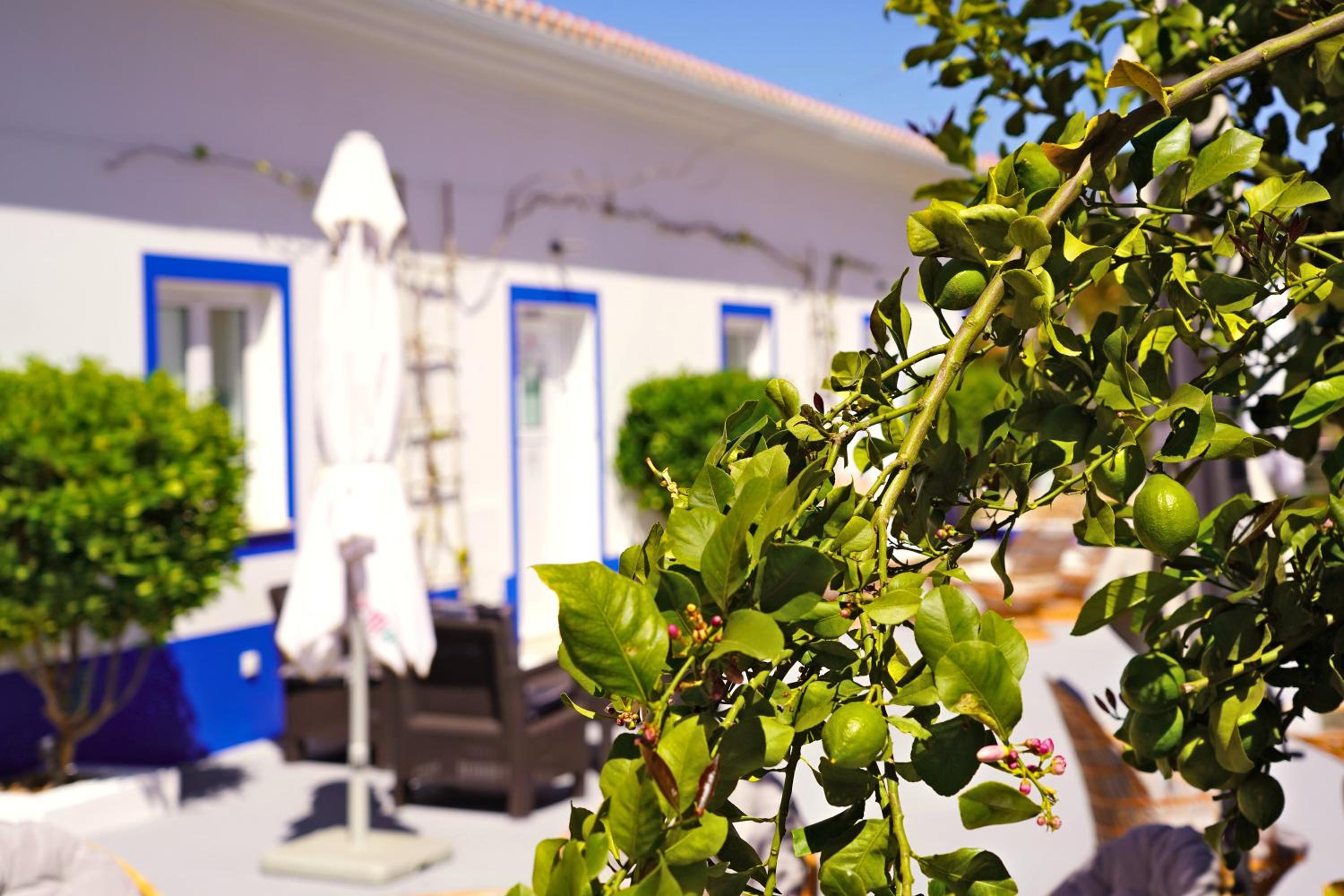 Carvoeiro B&B and SPA, Foto 79