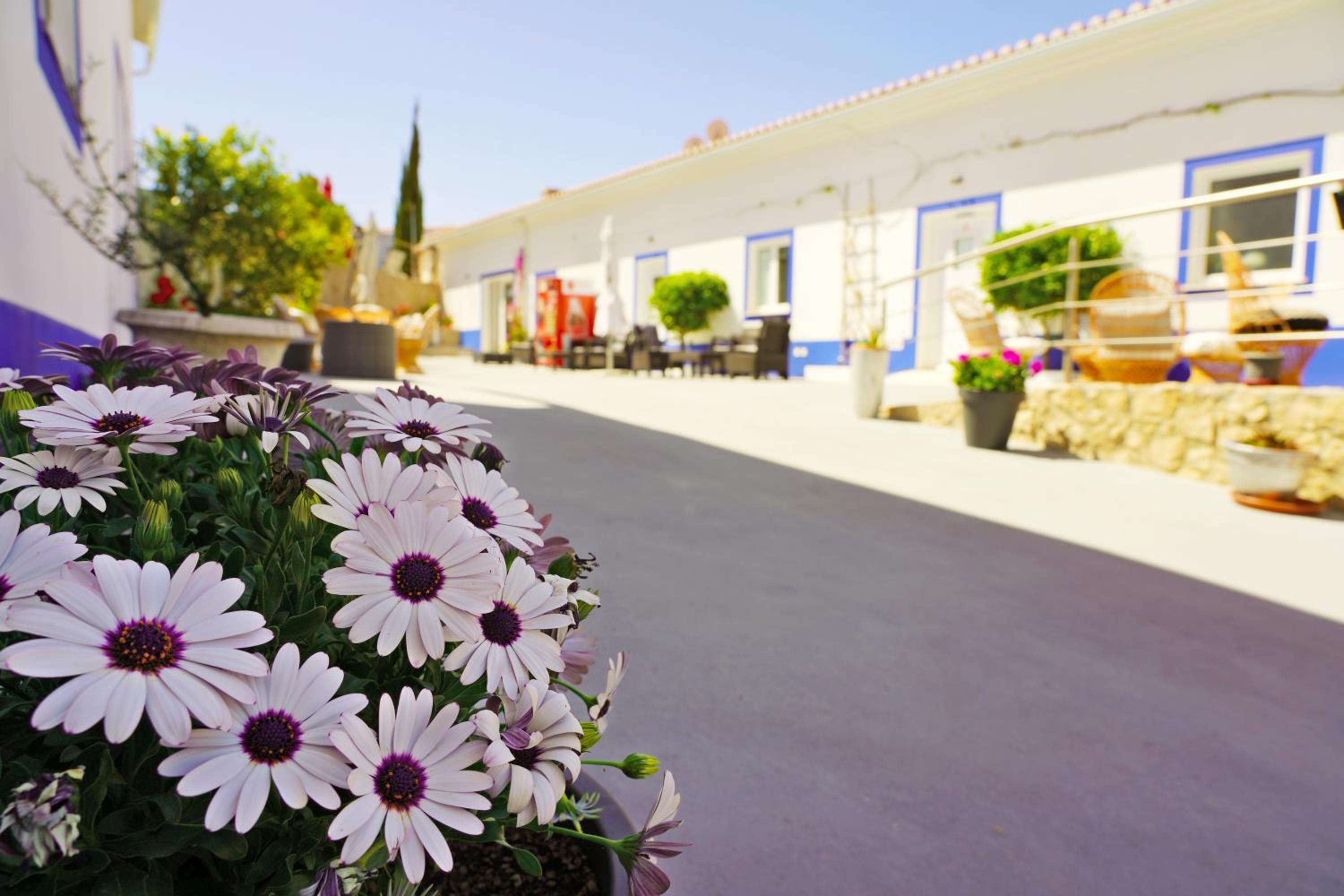 Carvoeiro B&B and SPA, Foto 11