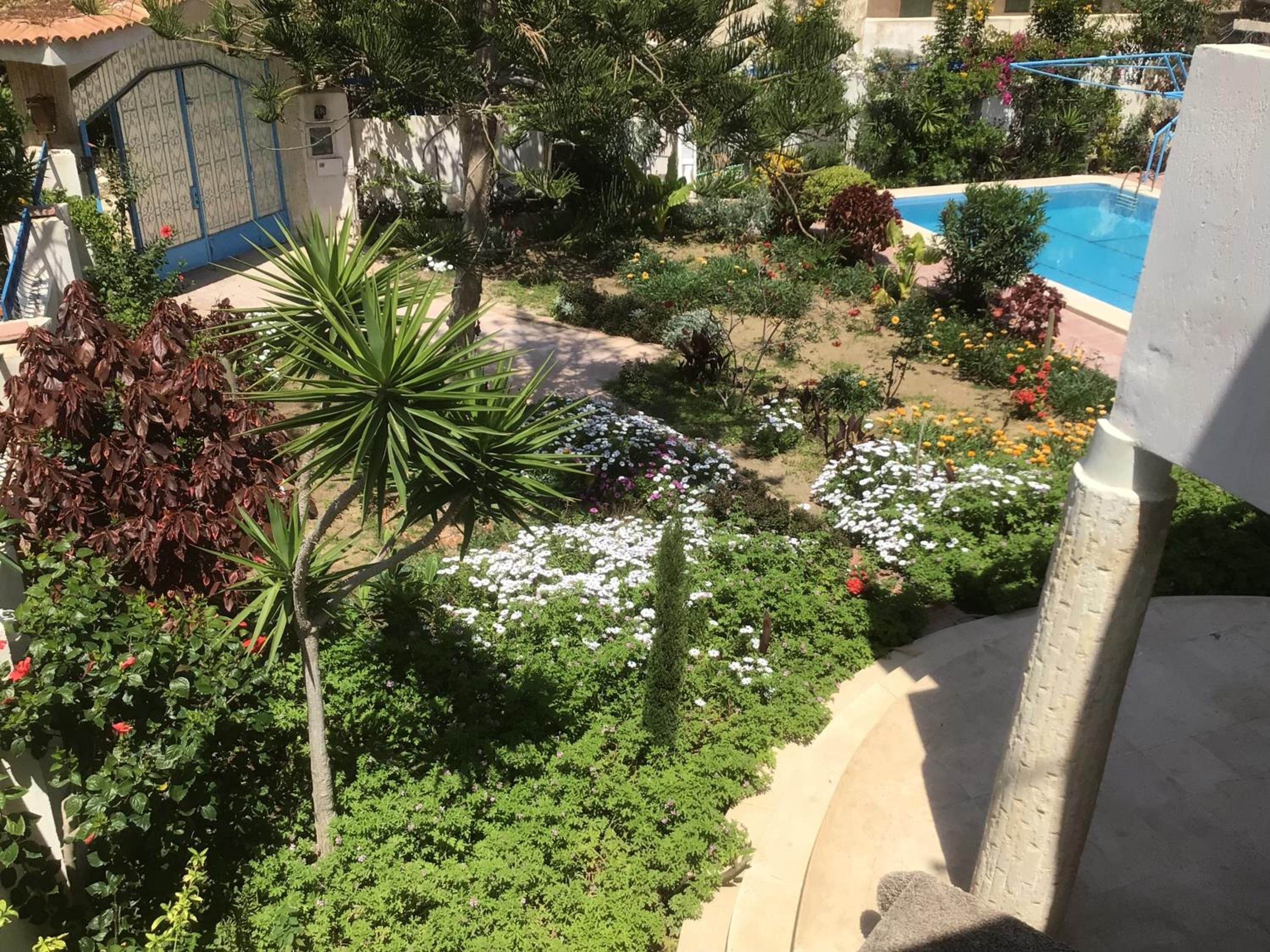 Blue Family Villa - Large Pool - Airco - Up to 10 Guests - 3 Min Walk to Beach view 4
