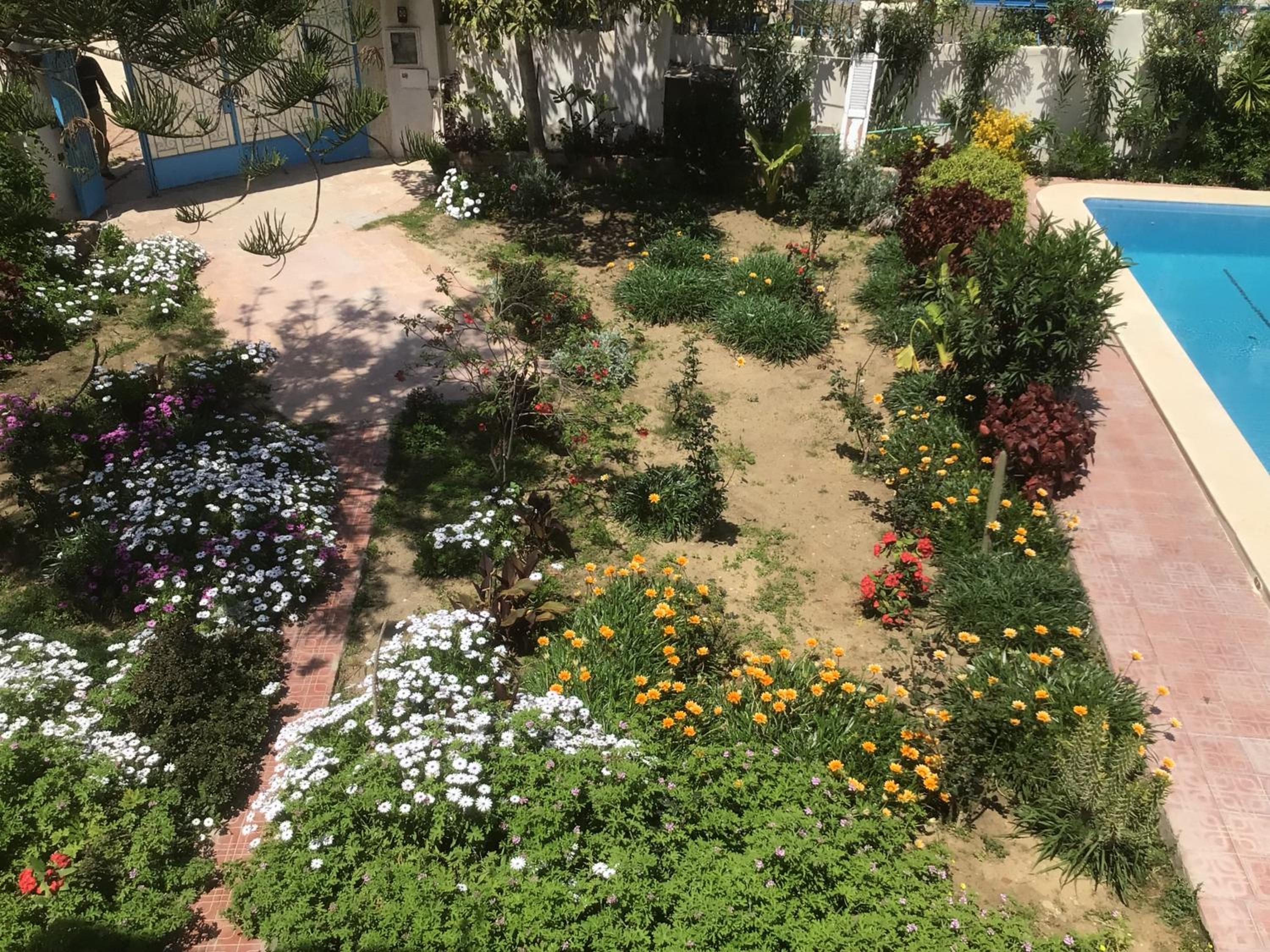 Blue Family Villa - Large Pool - Airco - Up to 10 Guests - 3 Min Walk to Beach view 5