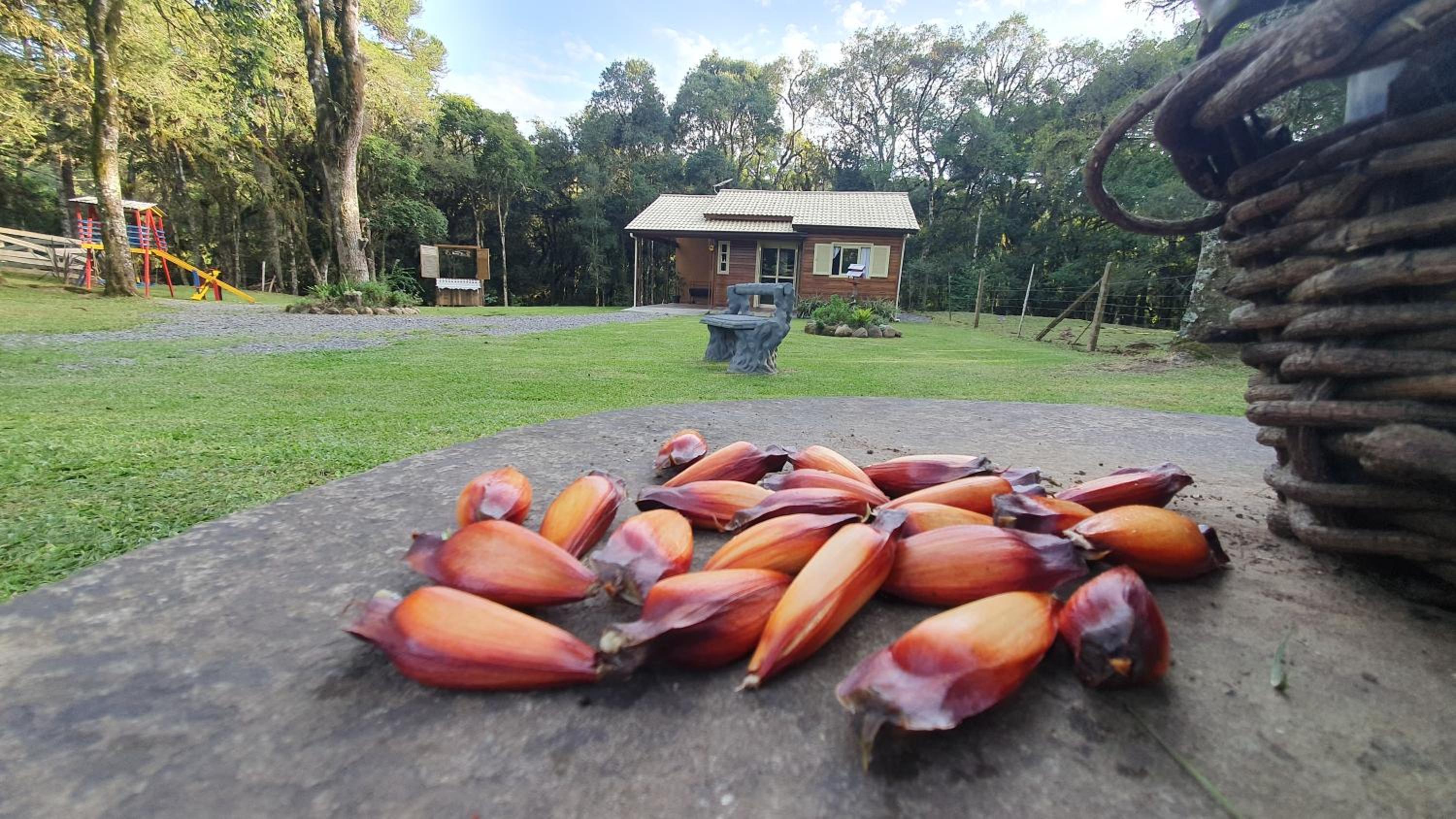 Sitio Recanto Feliz