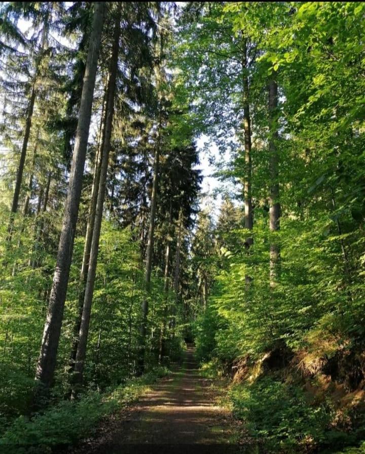 Ferienwohnung Hänel