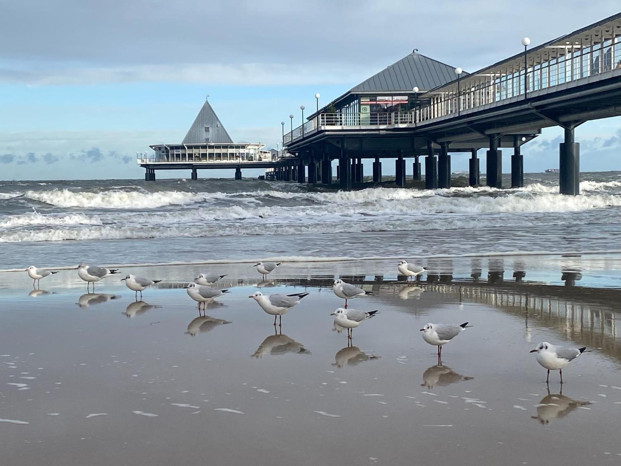 Min Droom Usedom