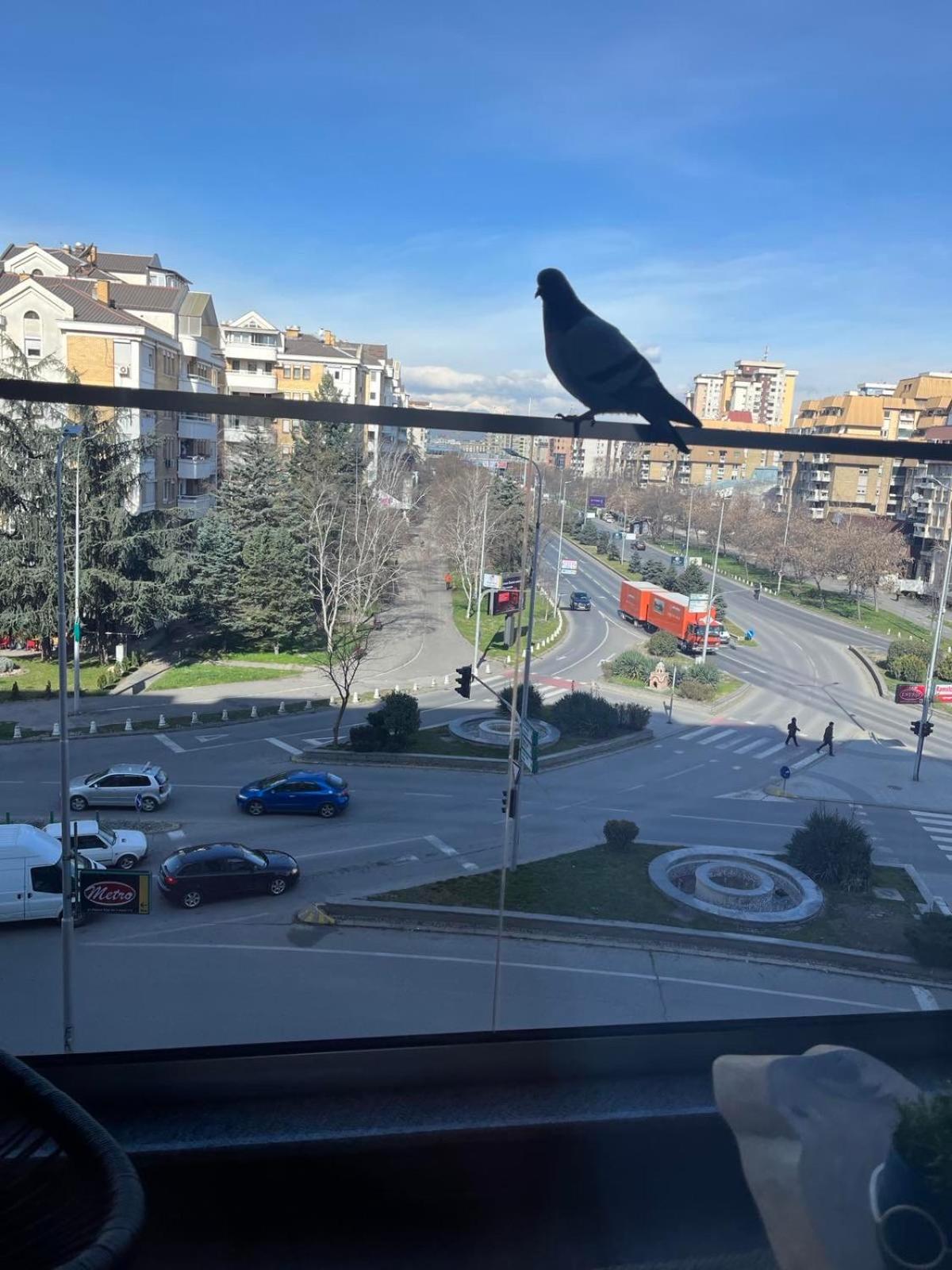 PORTA LEKS apartment, self check-in, own parking view 5