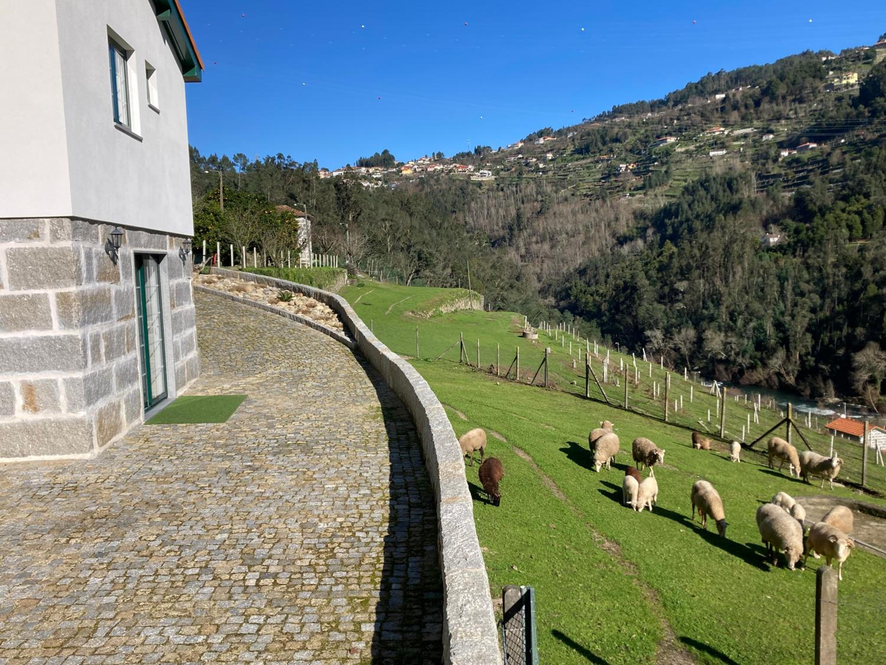 Quinta de Varzielas - Agroturismo