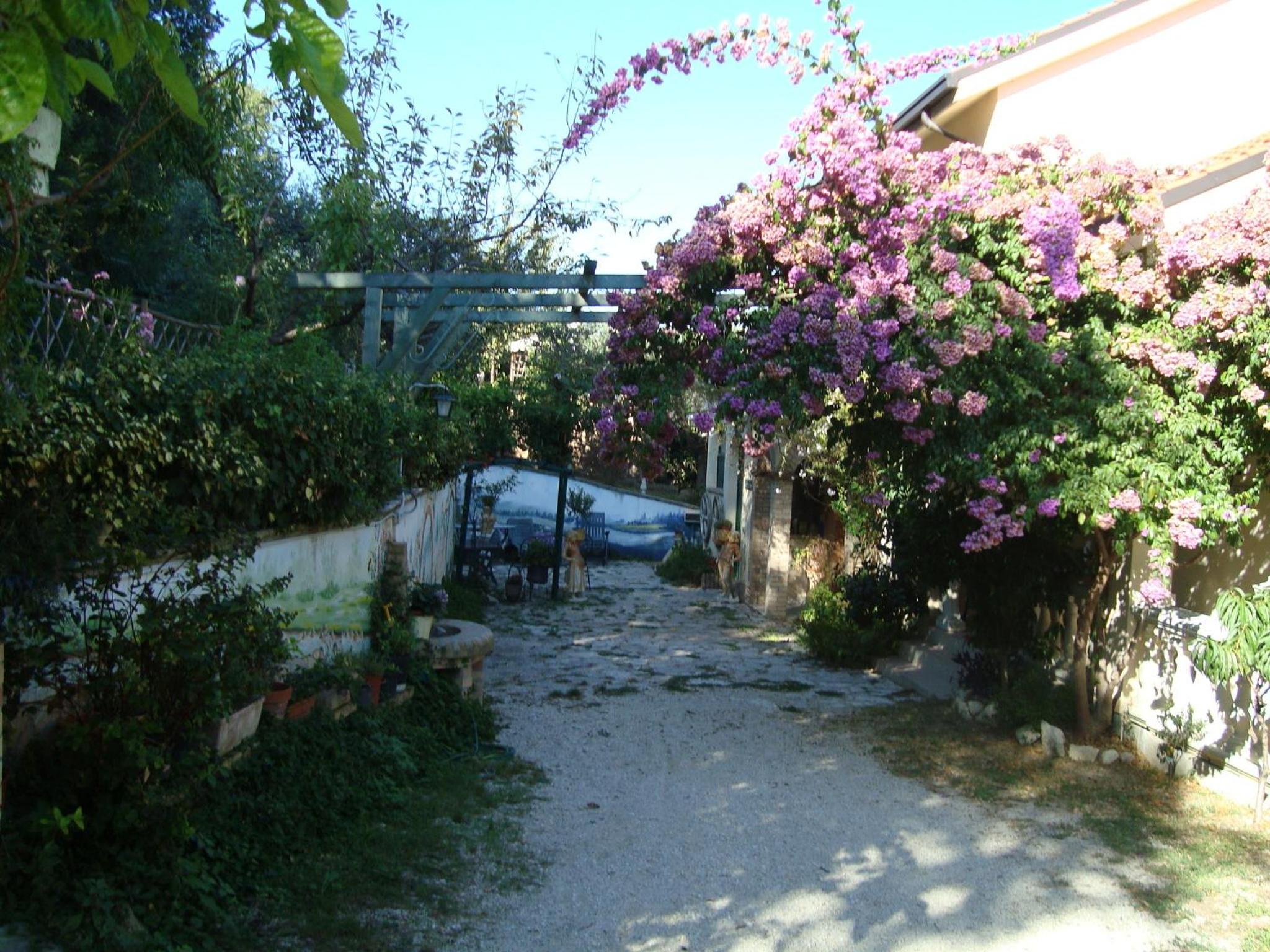 Photo 52