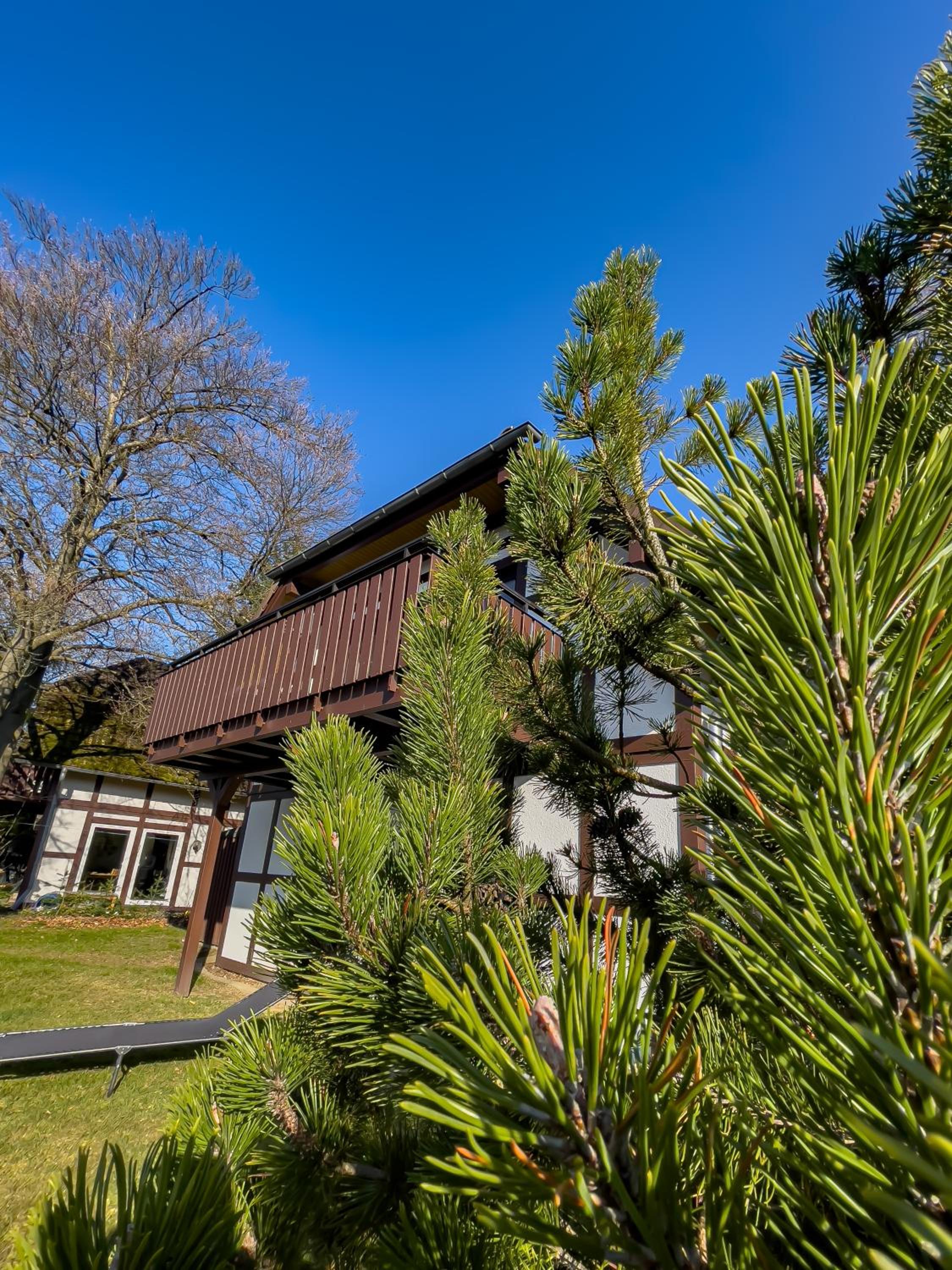 Ferienhaus am Wald