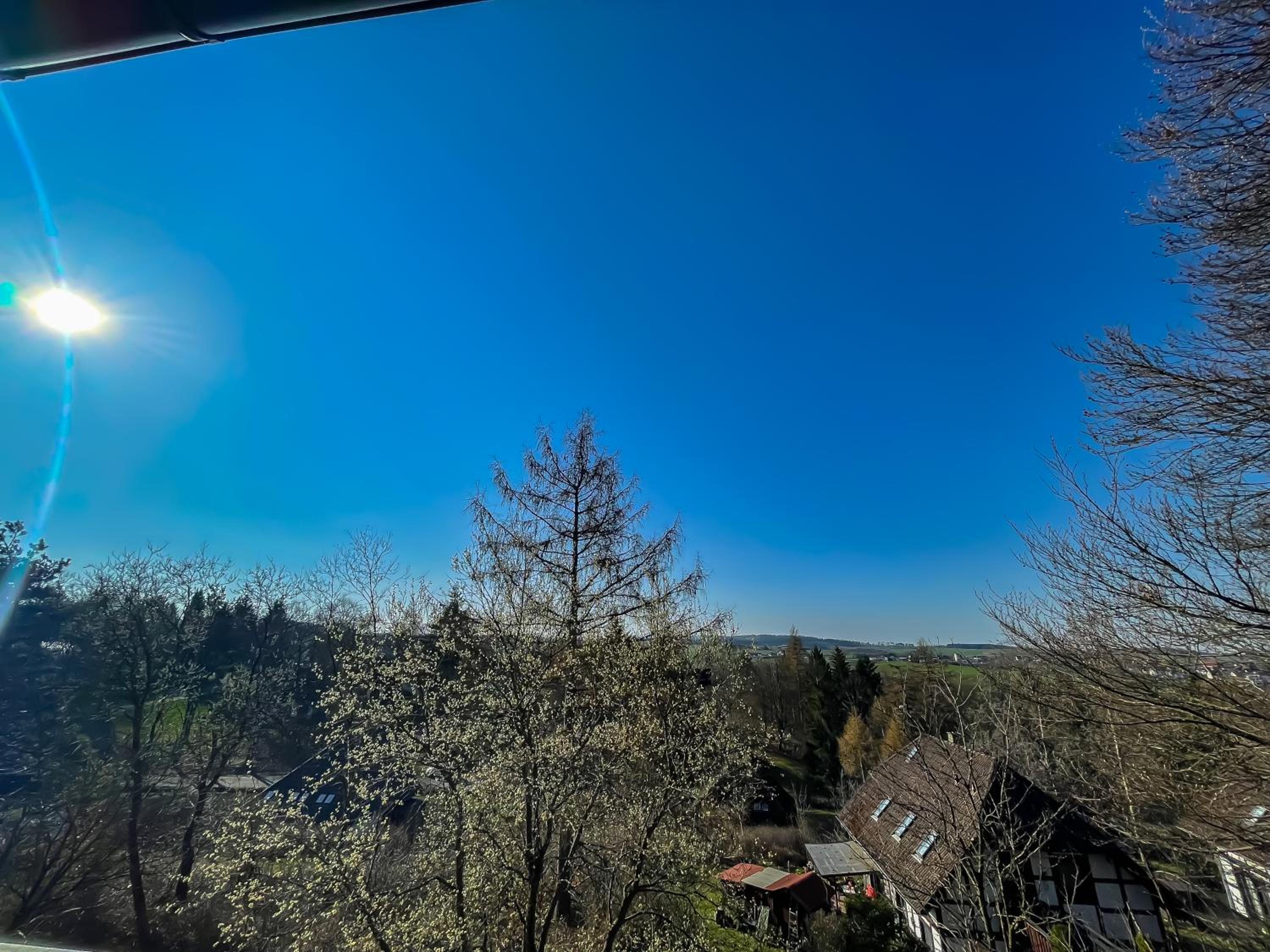 Ferienhaus am Wald