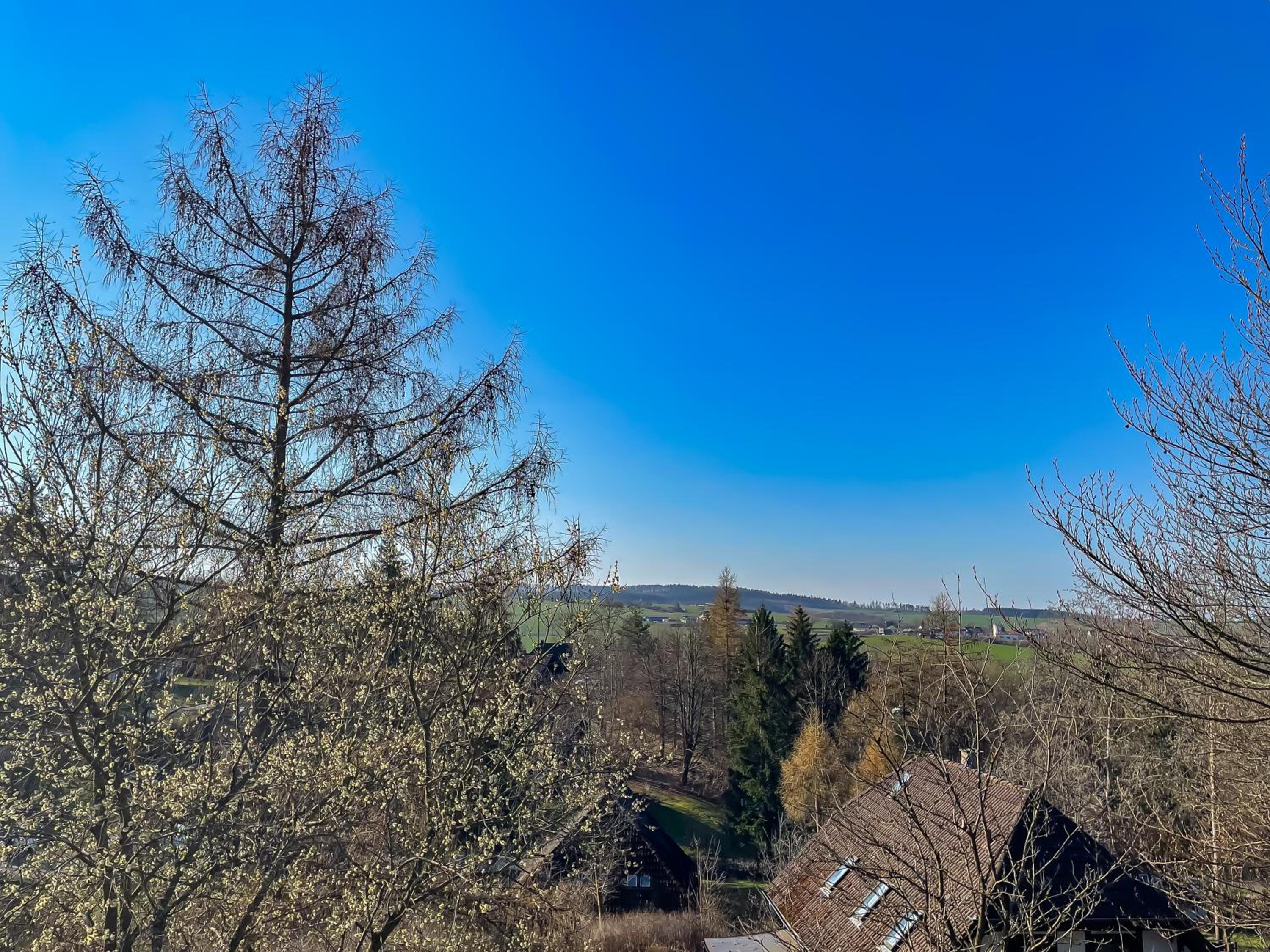 Ferienhaus am Wald