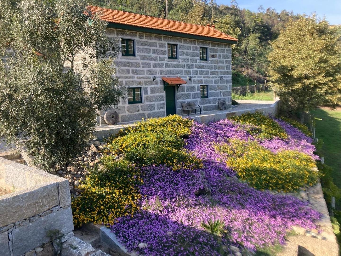 Quinta de Varzielas - Agroturismo