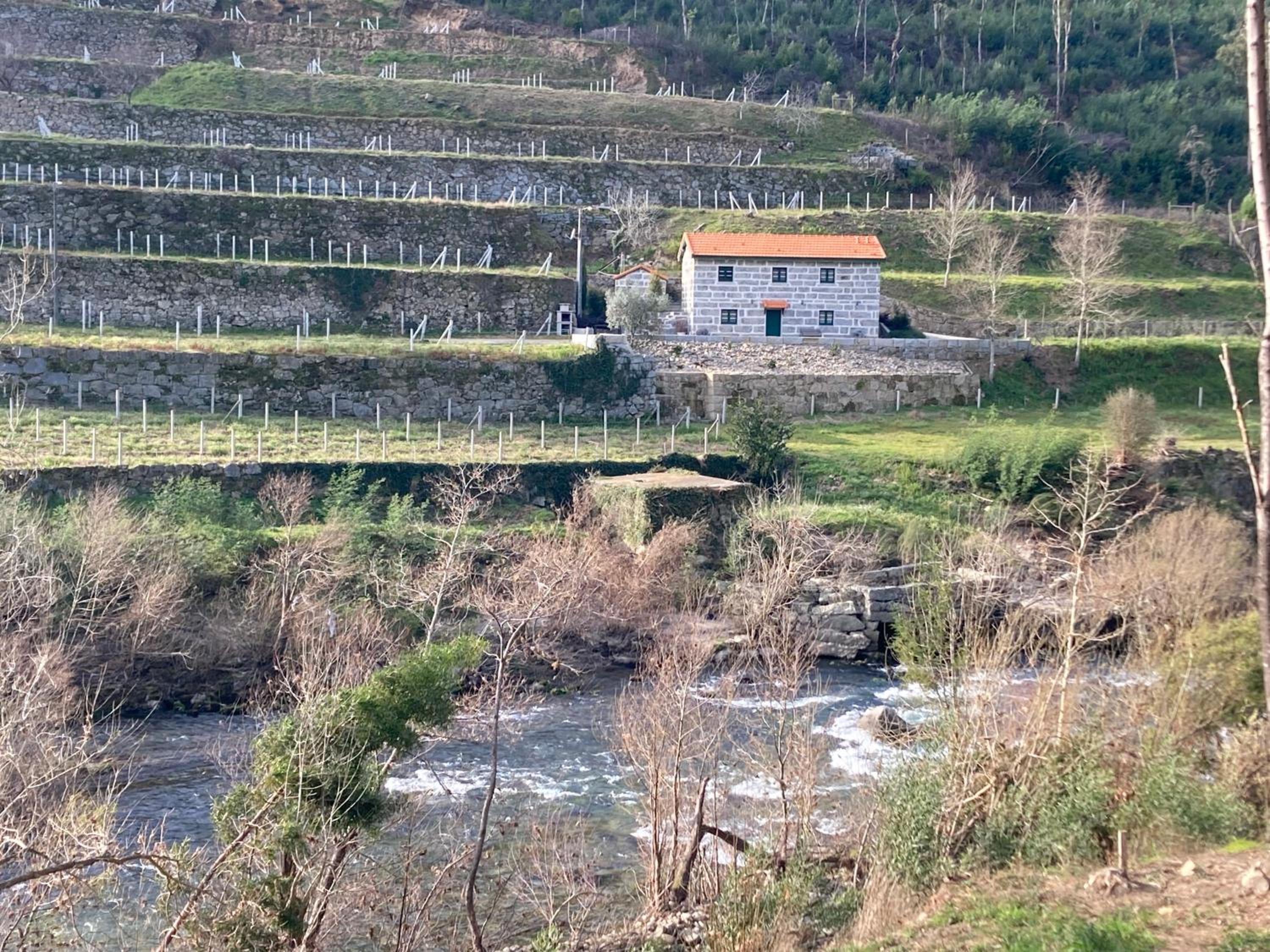 Quinta de Varzielas - Agroturismo