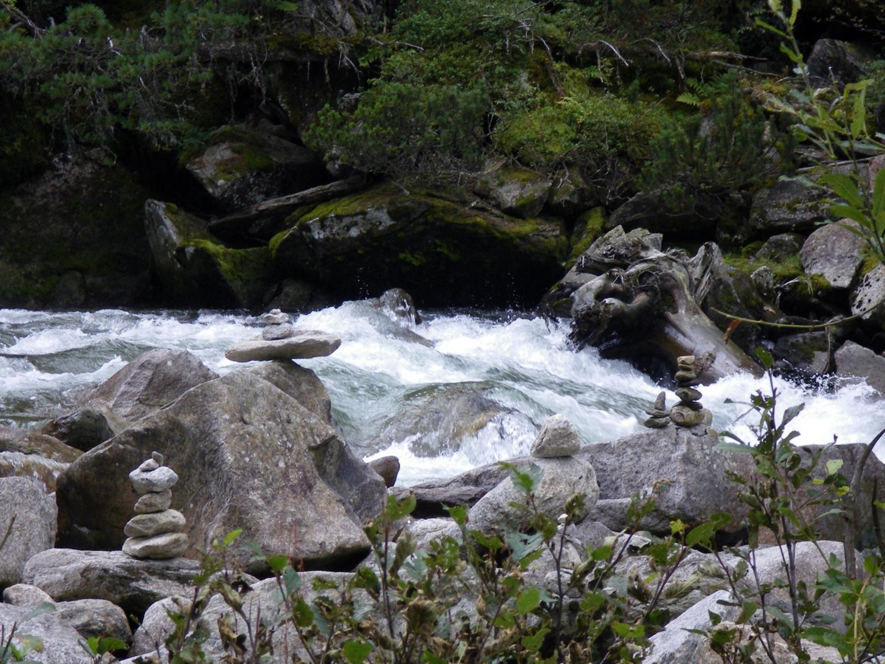 Pension Garni Burgwies ink Nationalpark Sommercard