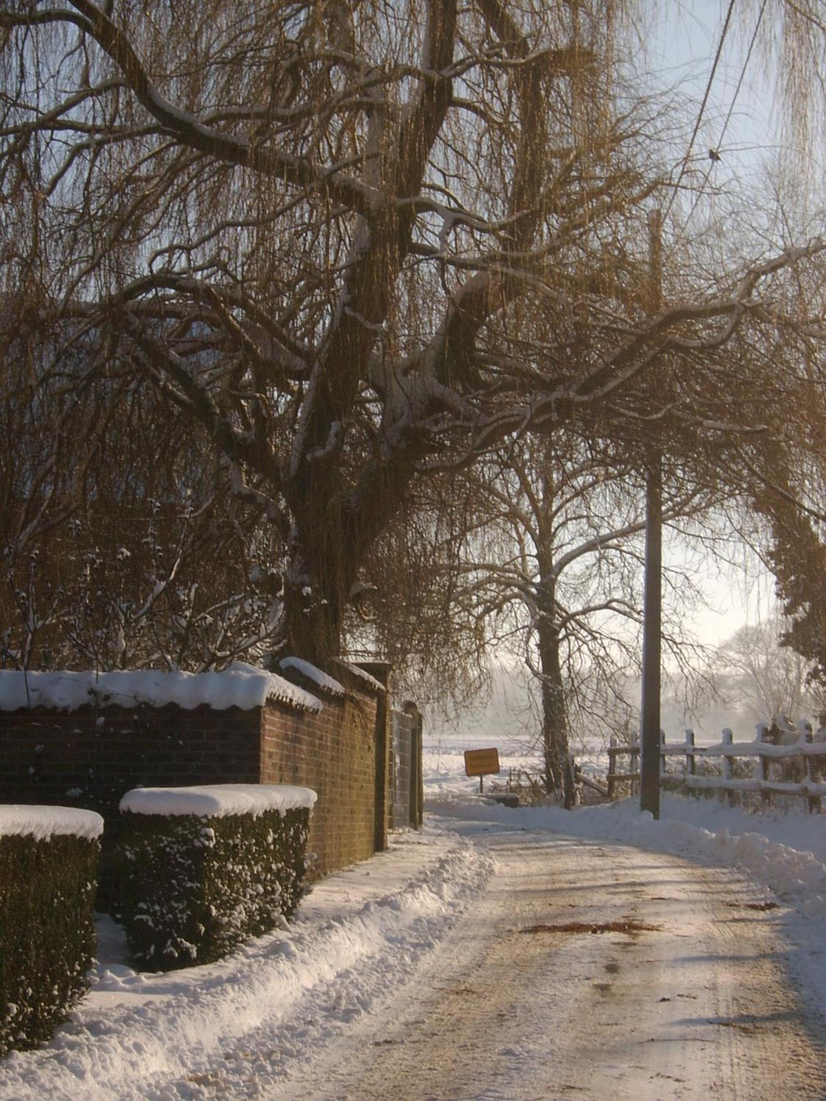 B&B De Pepelinck