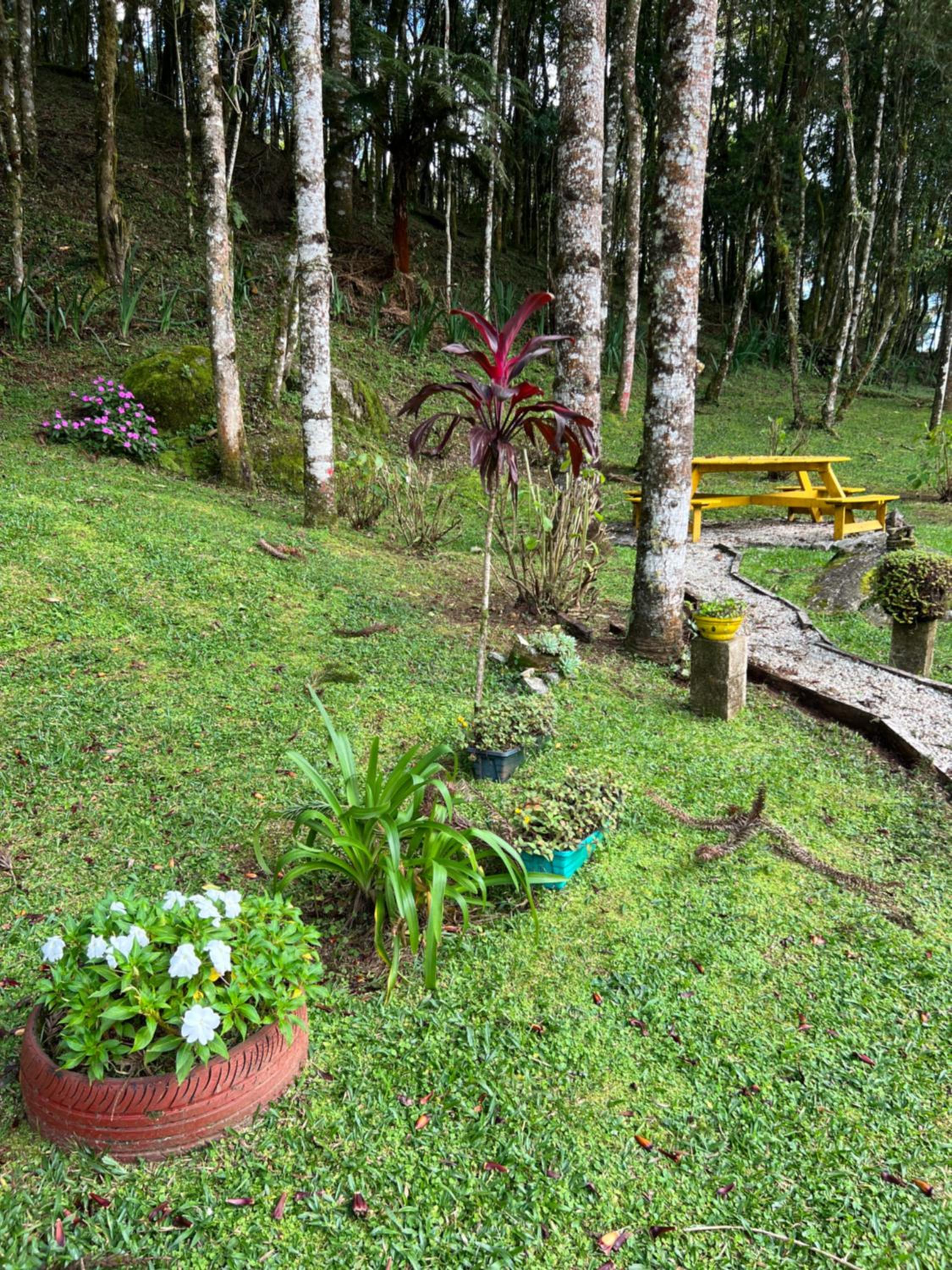 Photo 40