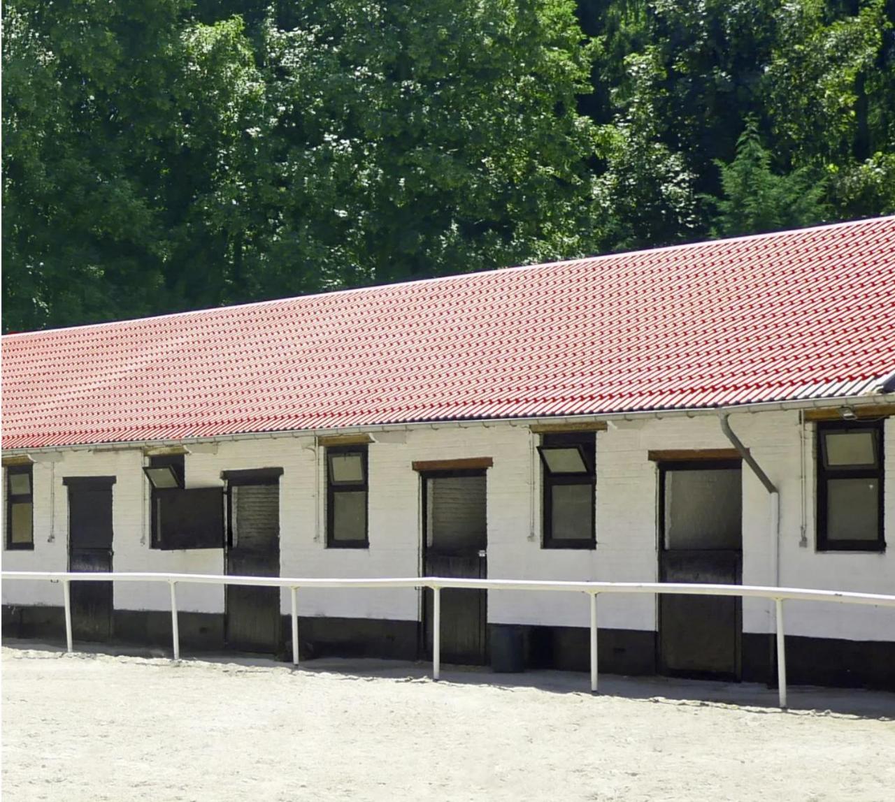 Royal Horses