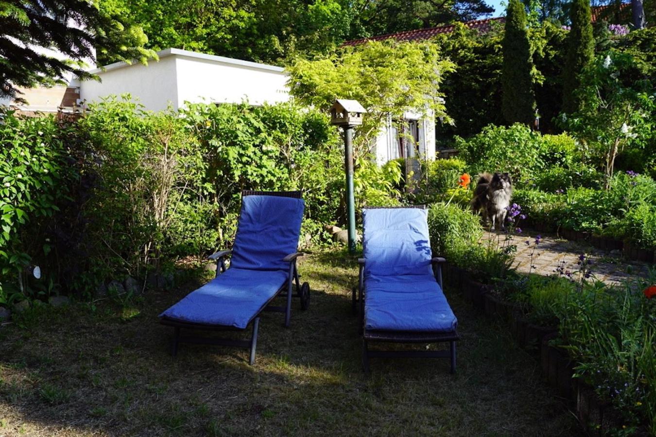 Ferienwohnungen auf Rügen bei Schramm & Rolinski