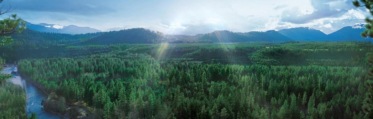 Suncadia Lodge Studio Unit view 5