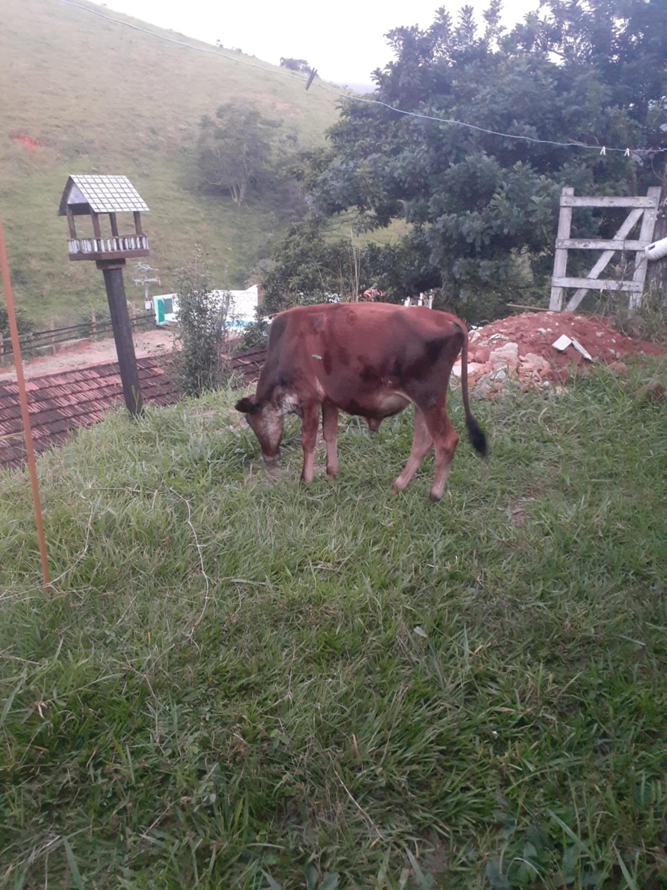 Fazenda Águas Claras