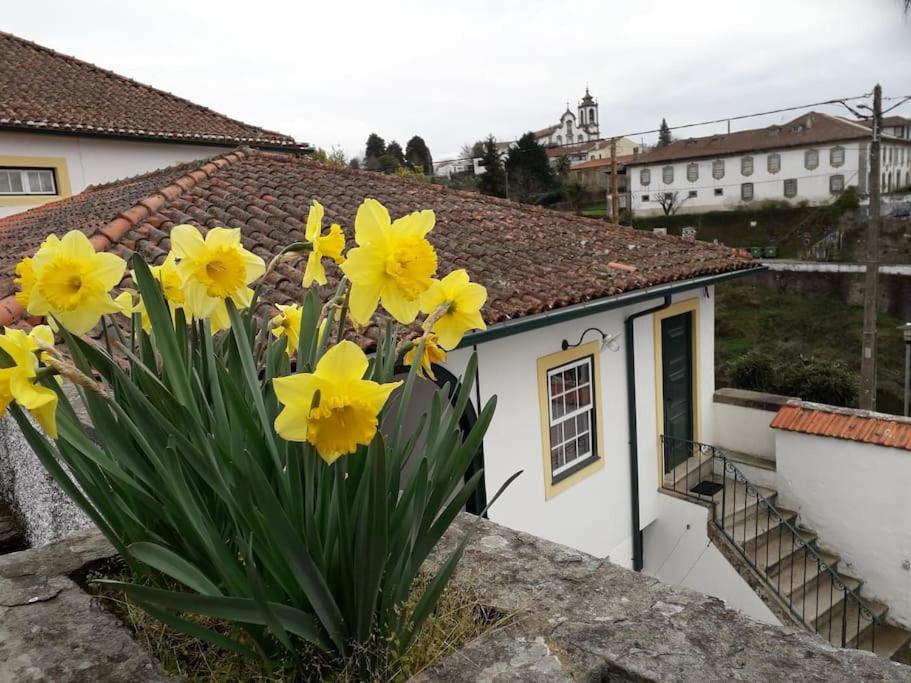 Casa da Ponte, Coja view 5