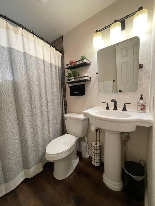 Photo 18