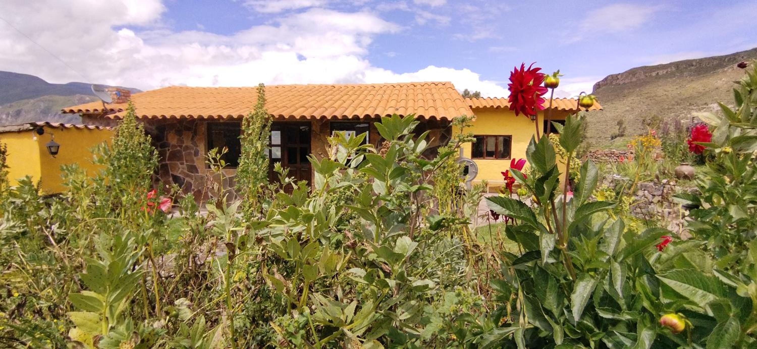Lodge Mirador San Antonio- Colca