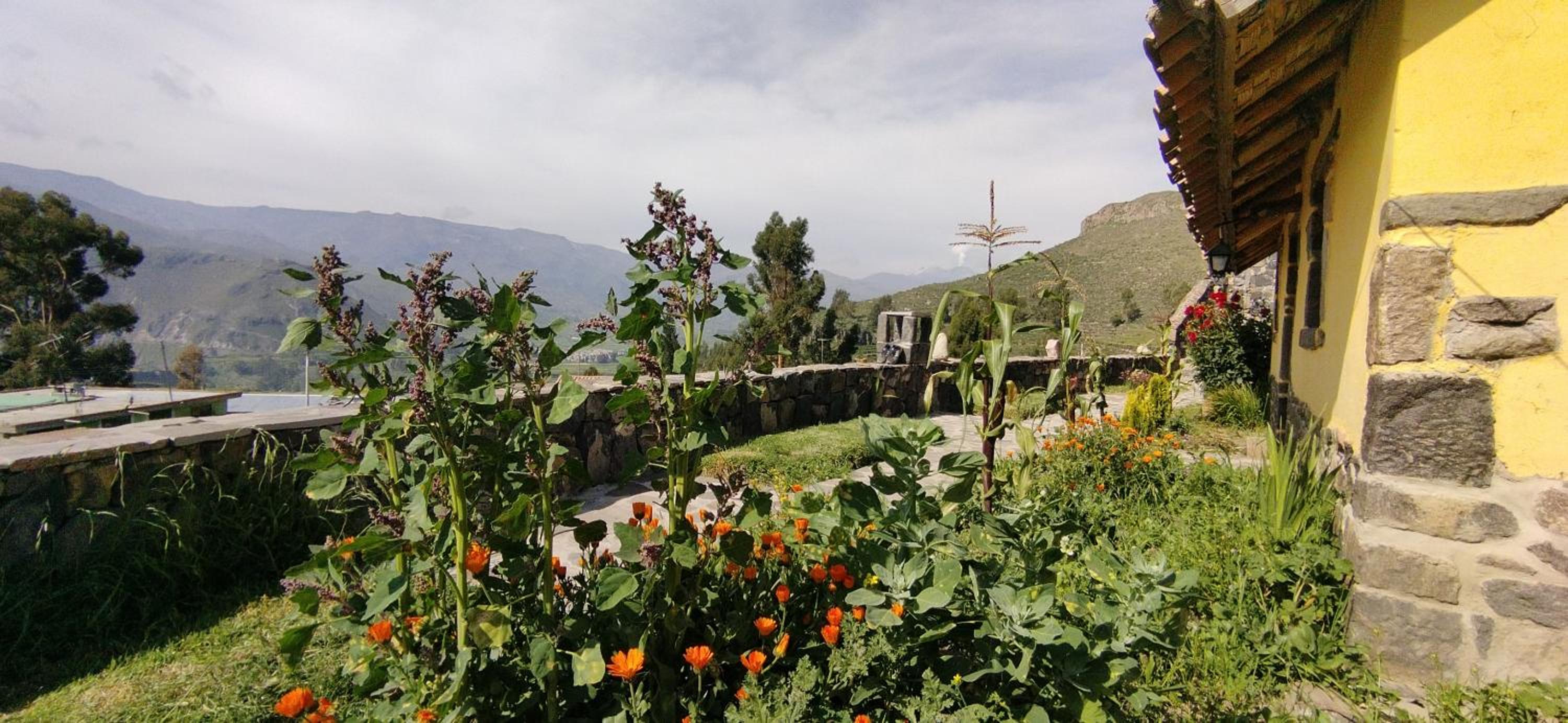 Lodge Mirador San Antonio- Colca