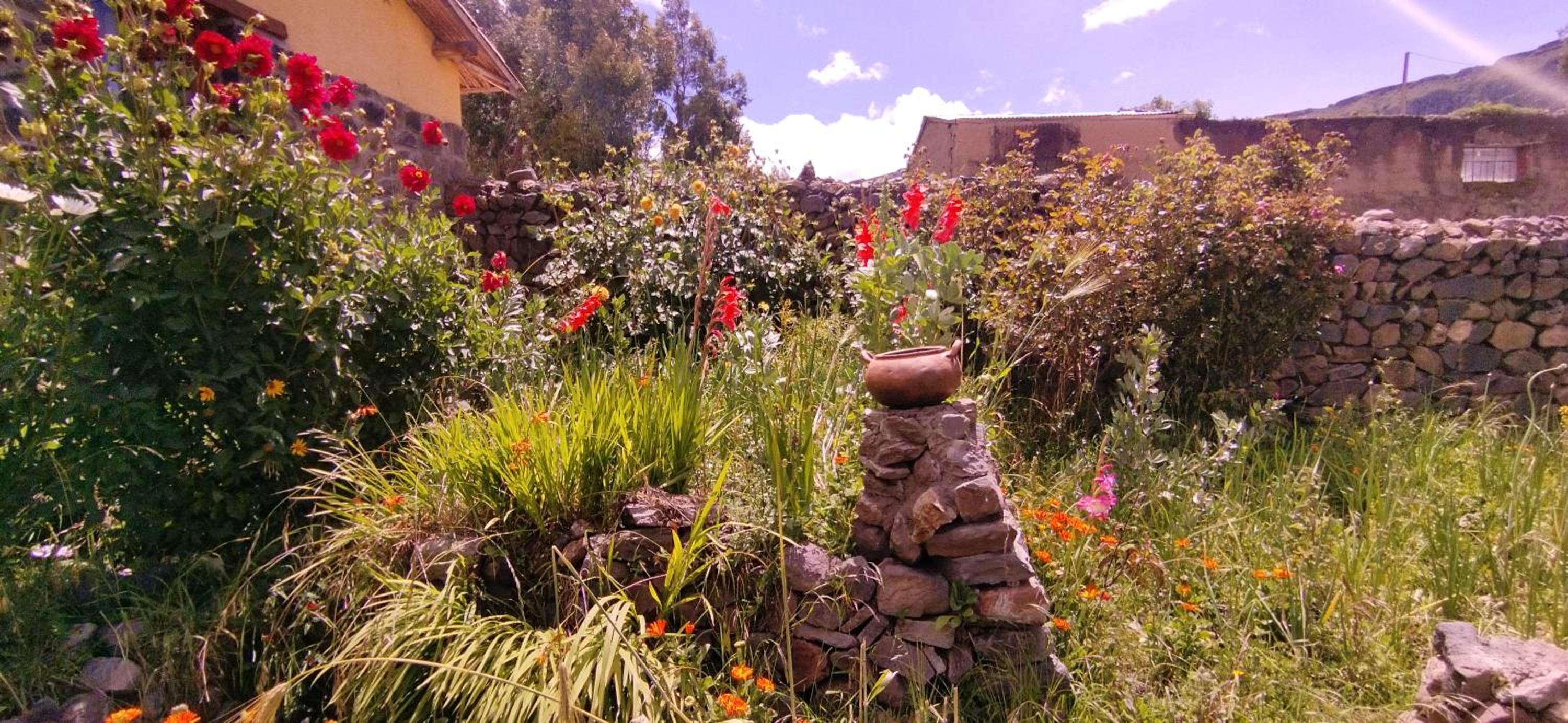 Lodge Mirador San Antonio- Colca