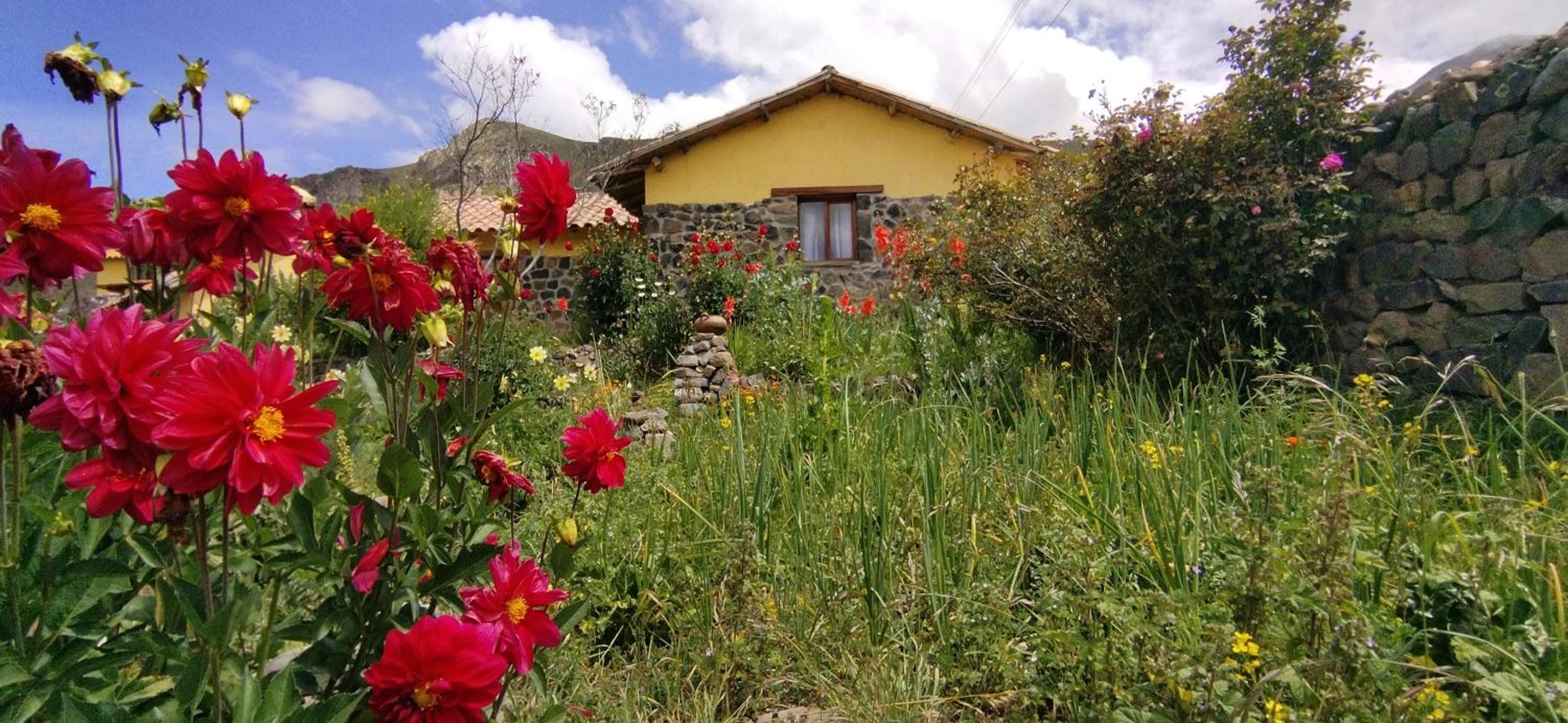 Lodge Mirador San Antonio- Colca