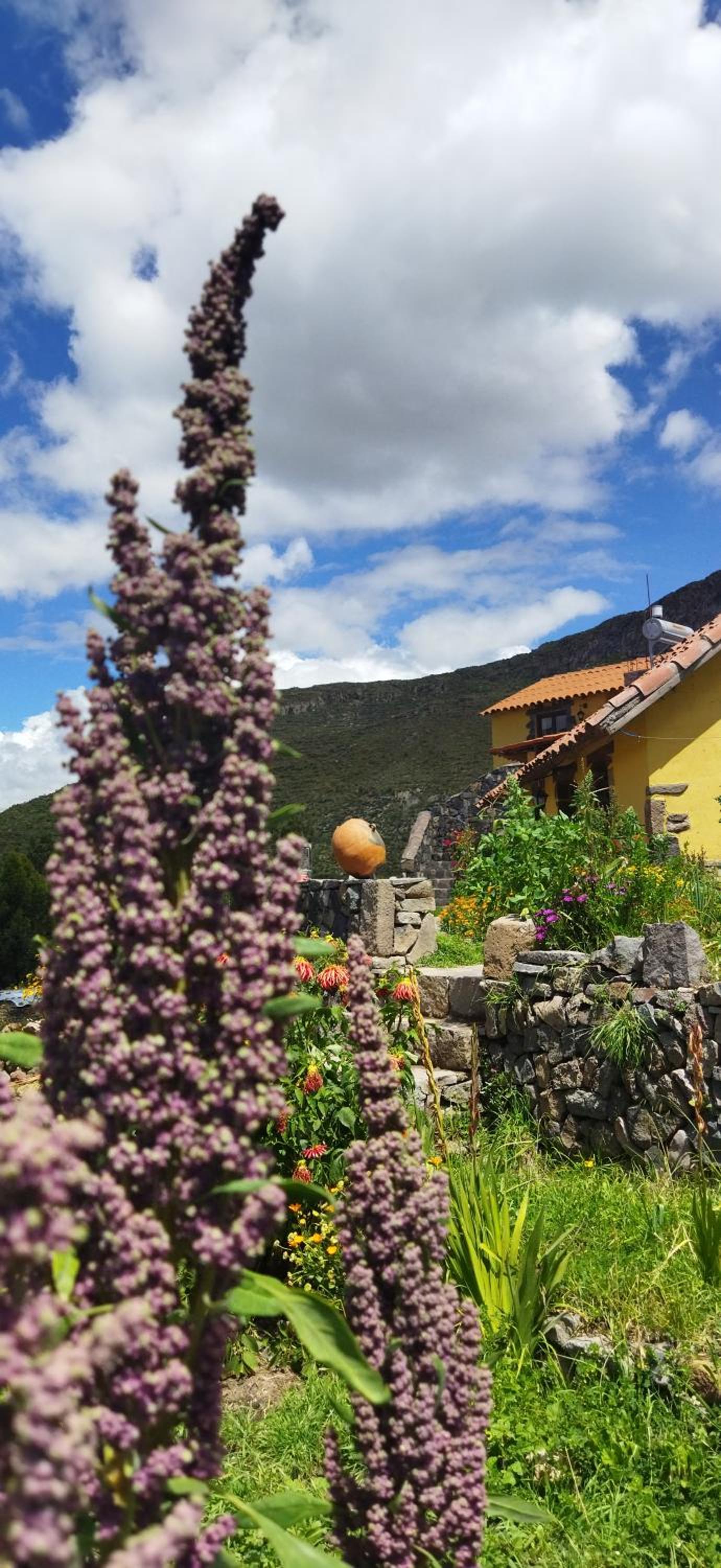 Lodge Mirador San Antonio- Colca