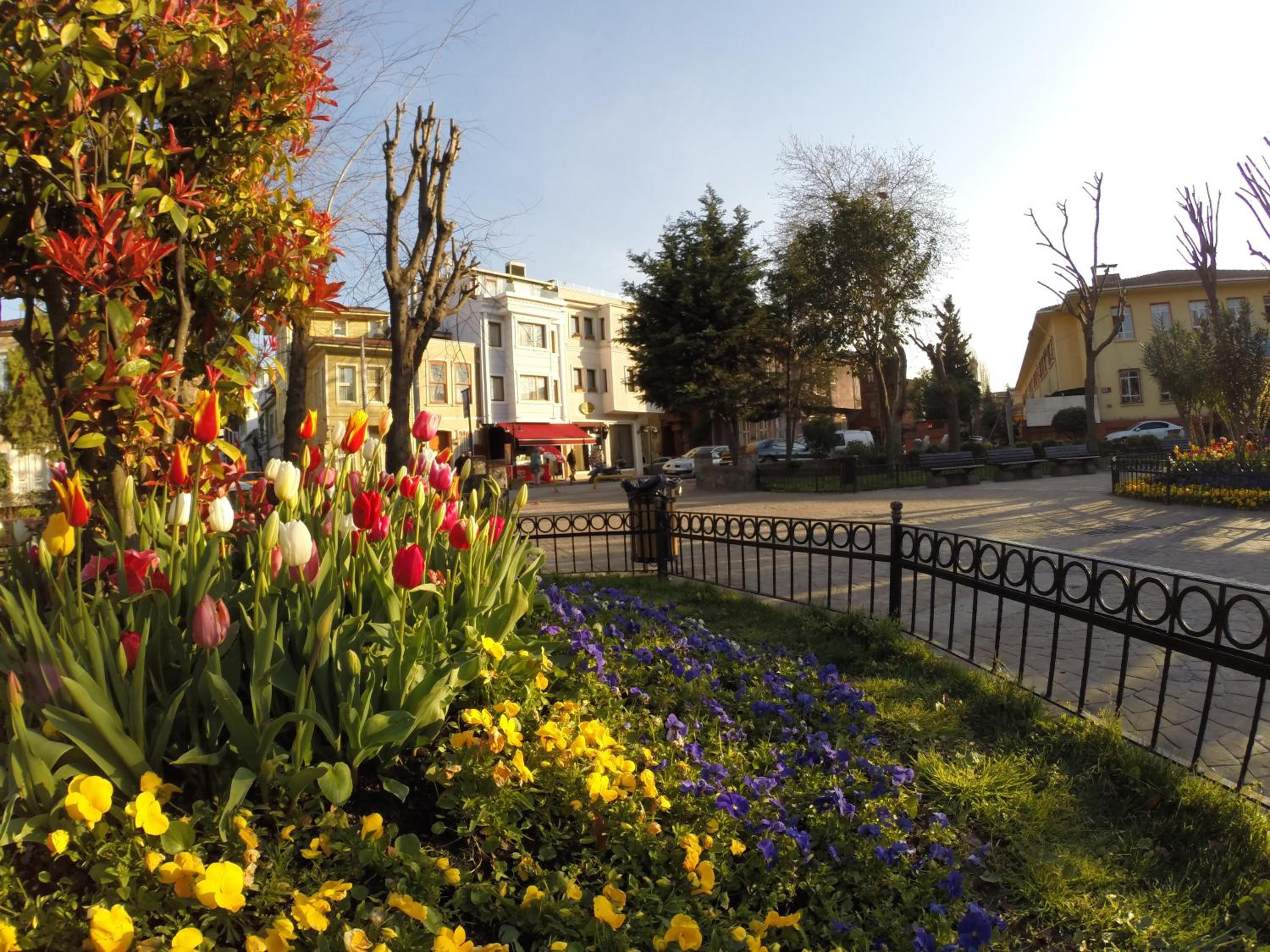 Meydan Süitler - Image 11